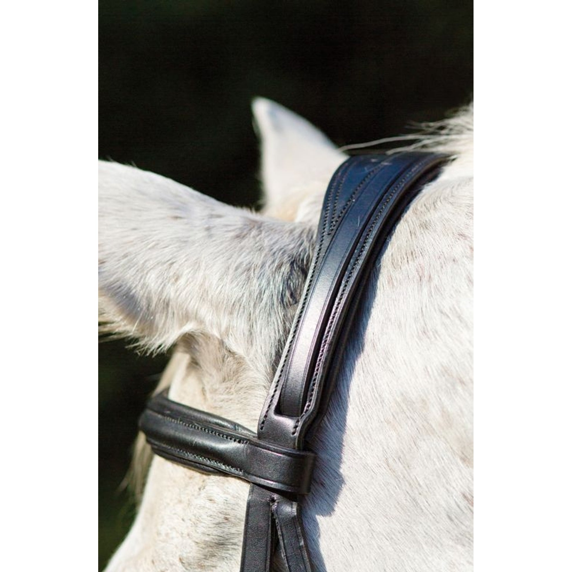 Shires Avignon Louisville Bridle