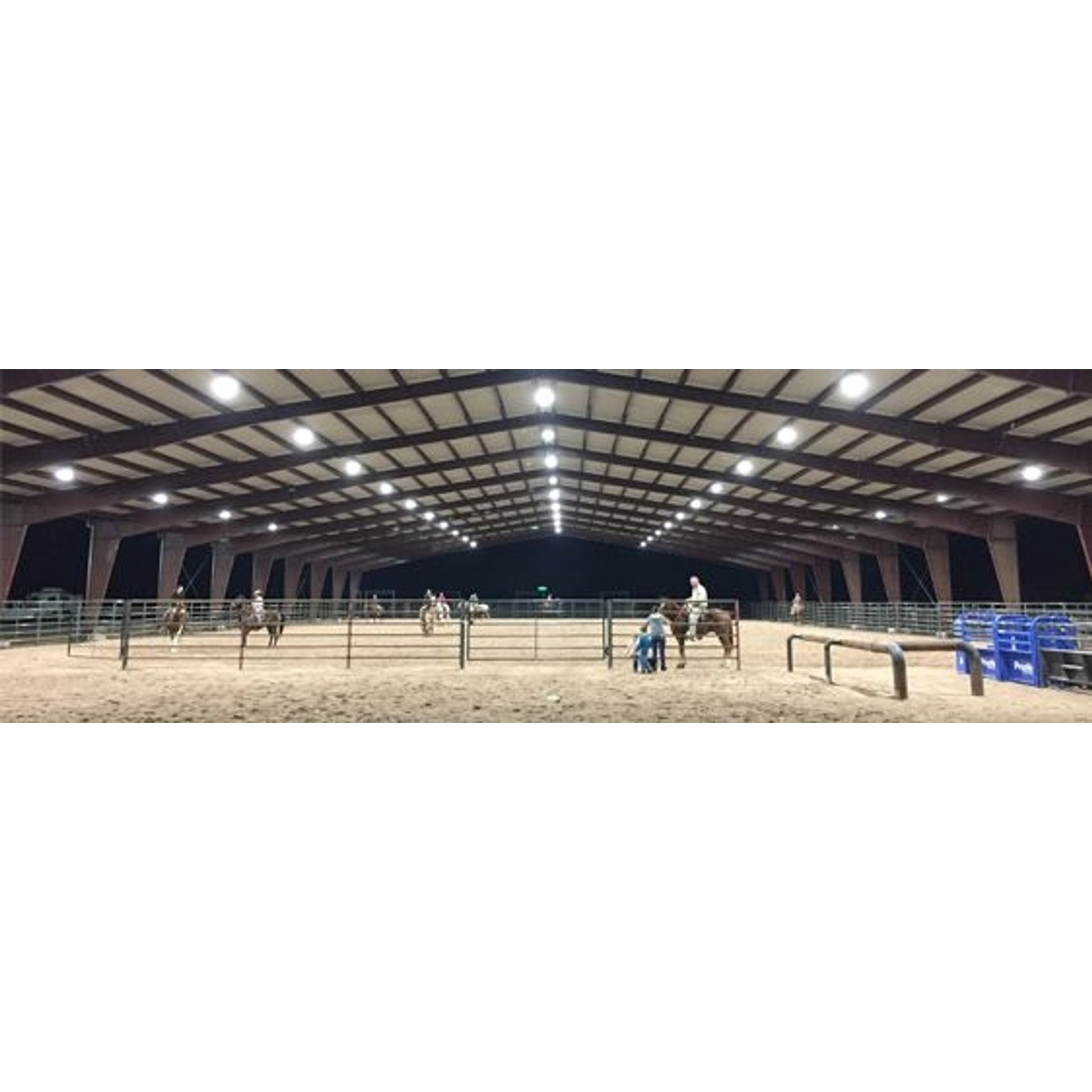 Jacks Horse Measure Stick