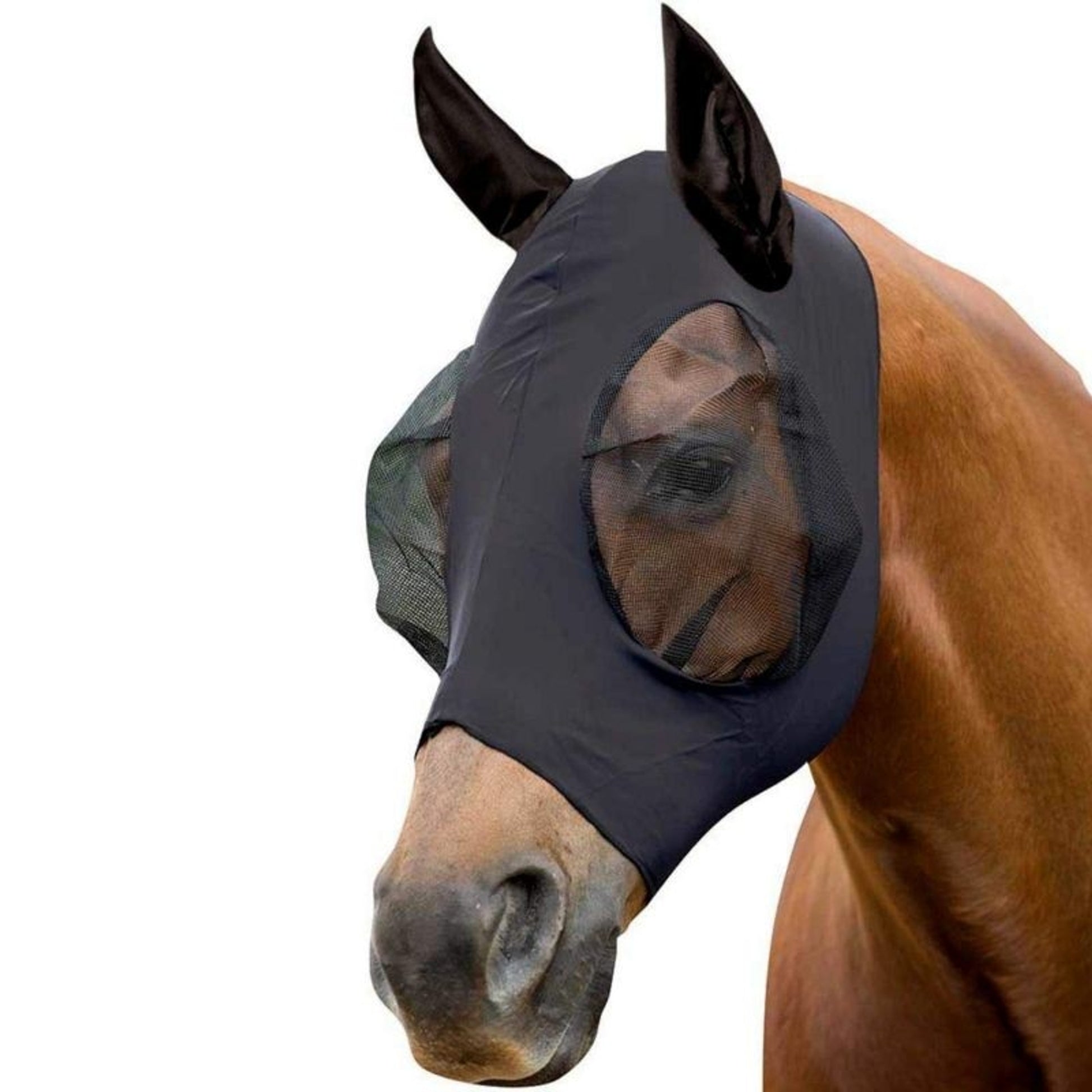 Weatherbeeta Stretch Bug Eye Saver With Ears