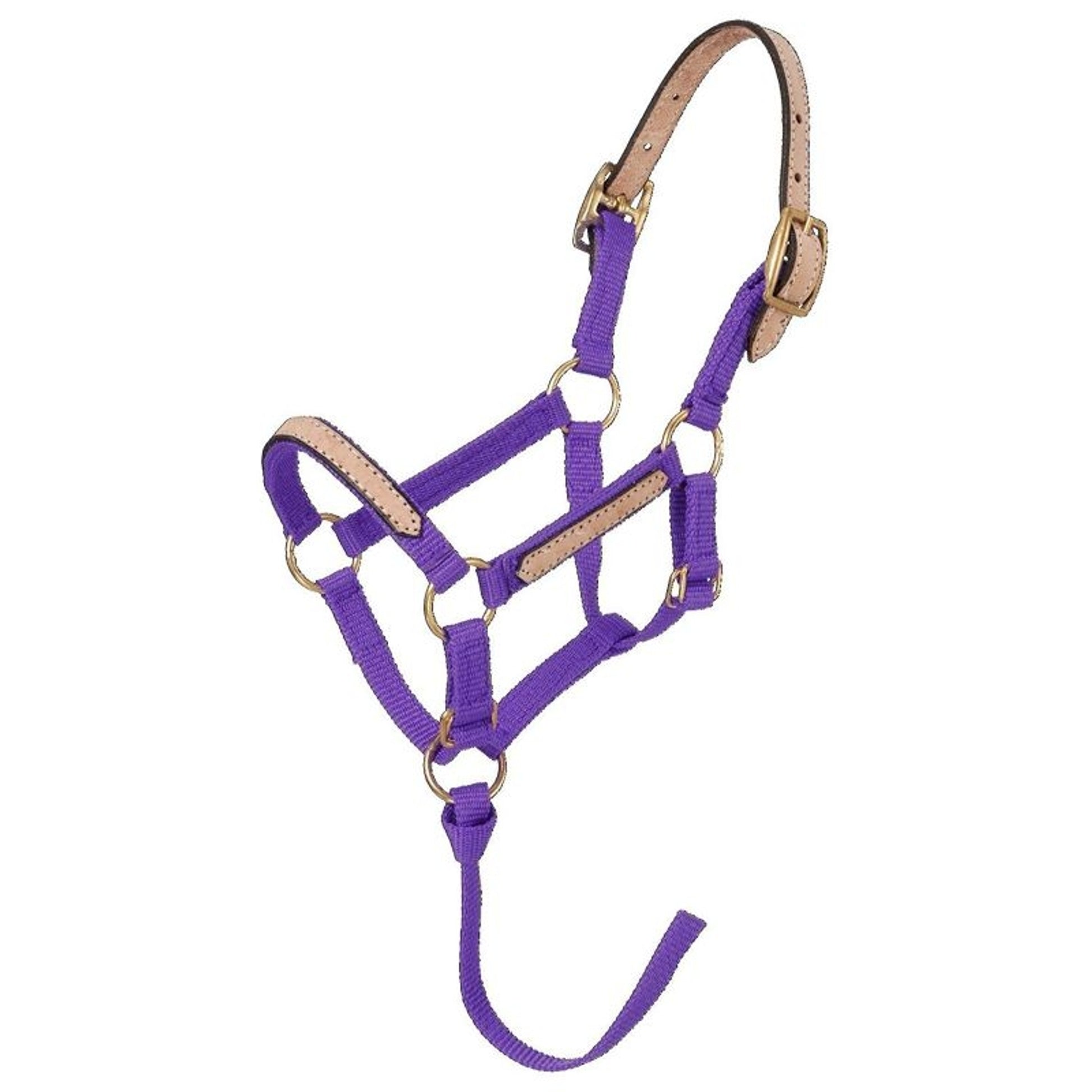 Tough1 Miniature Breakaway Halter