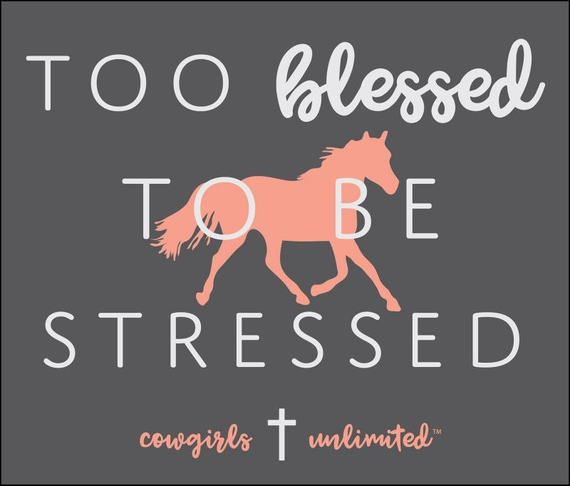 Too Blessed T-Shirt