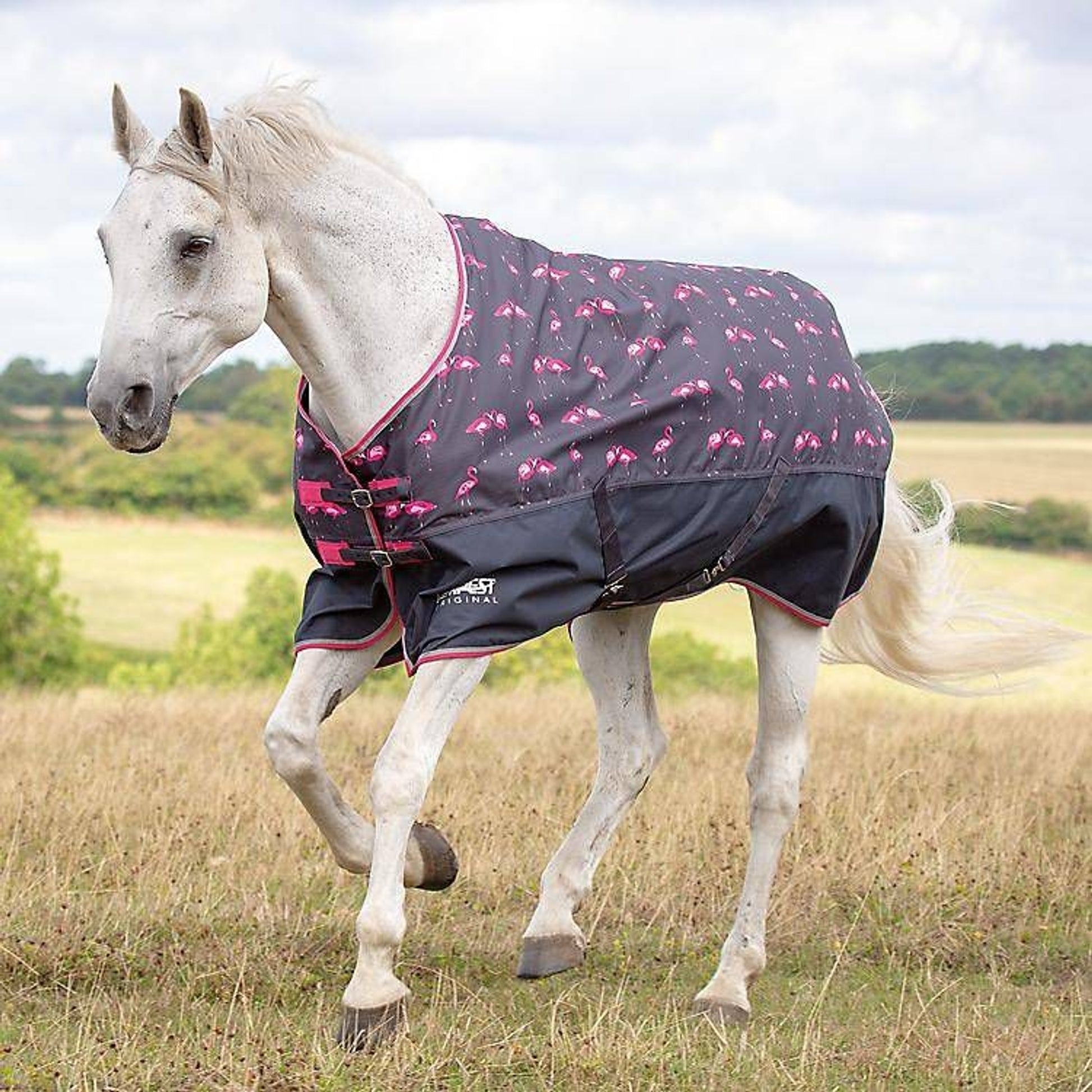 Shires Tempest Original Lite Turnout Sheet