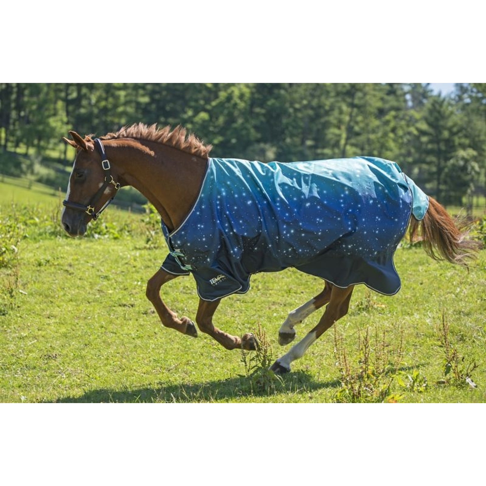 Shires Tempest Original Lite Turnout Sheet