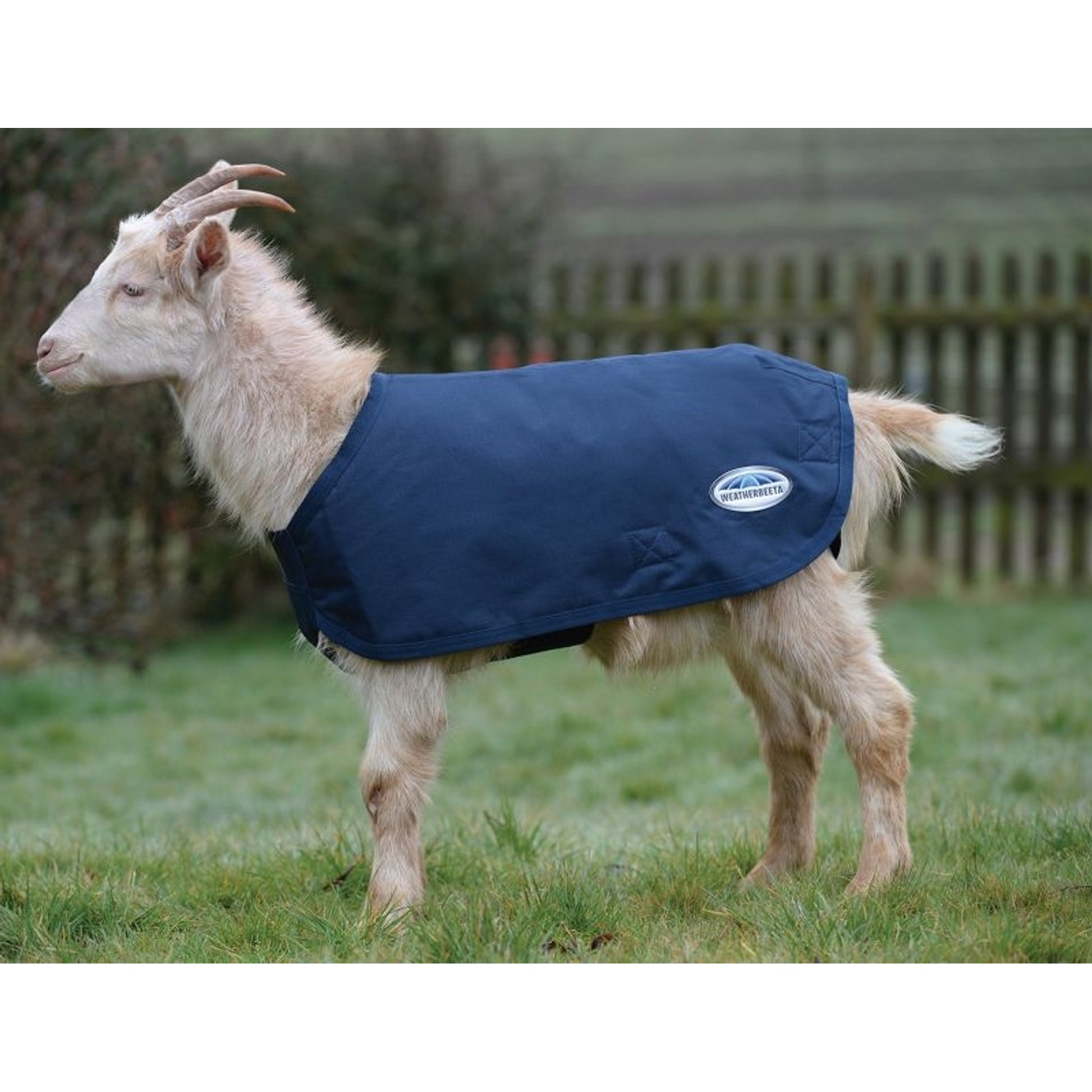 Weatherbeeta Deluxe Goat Coat