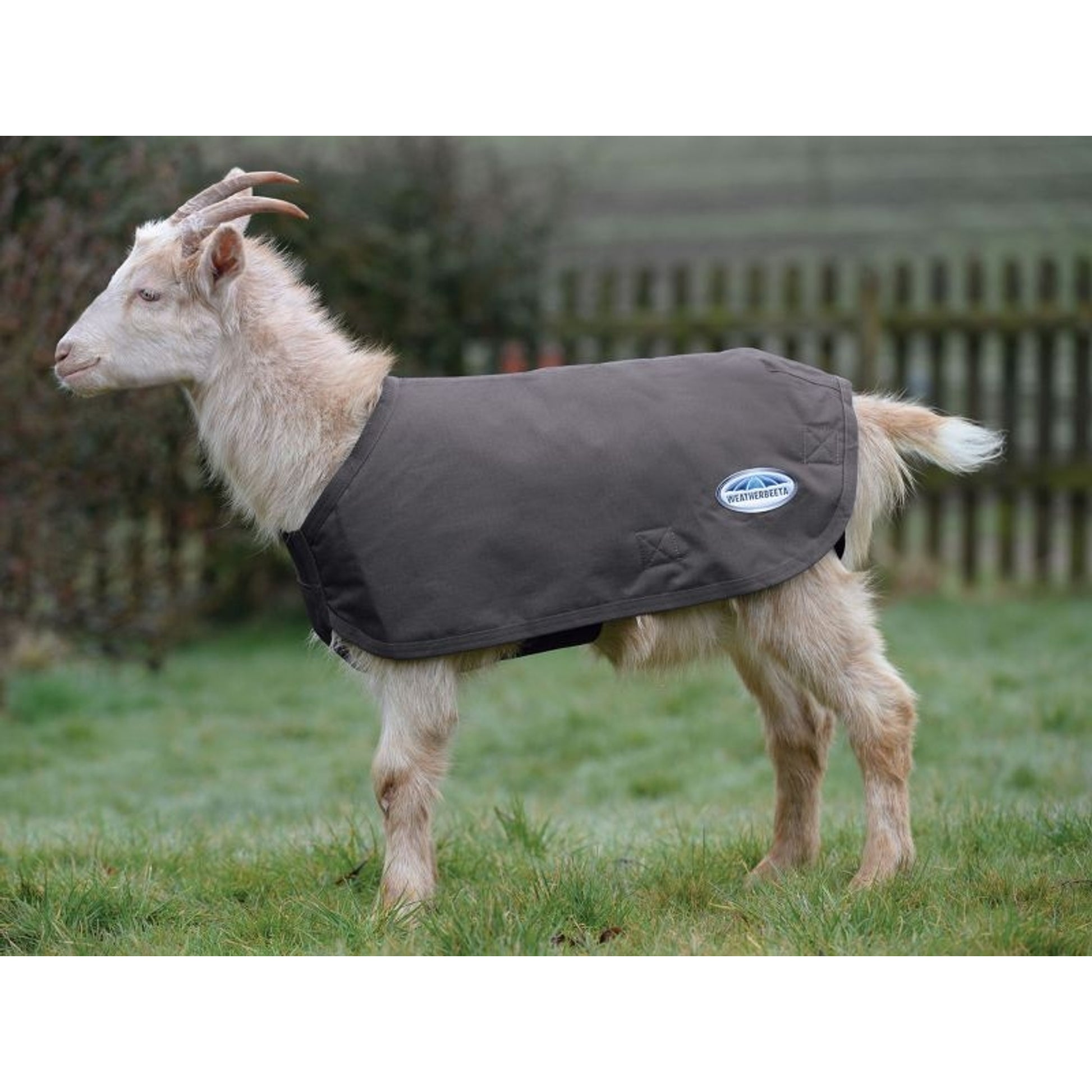 Weatherbeeta Deluxe Goat Coat
