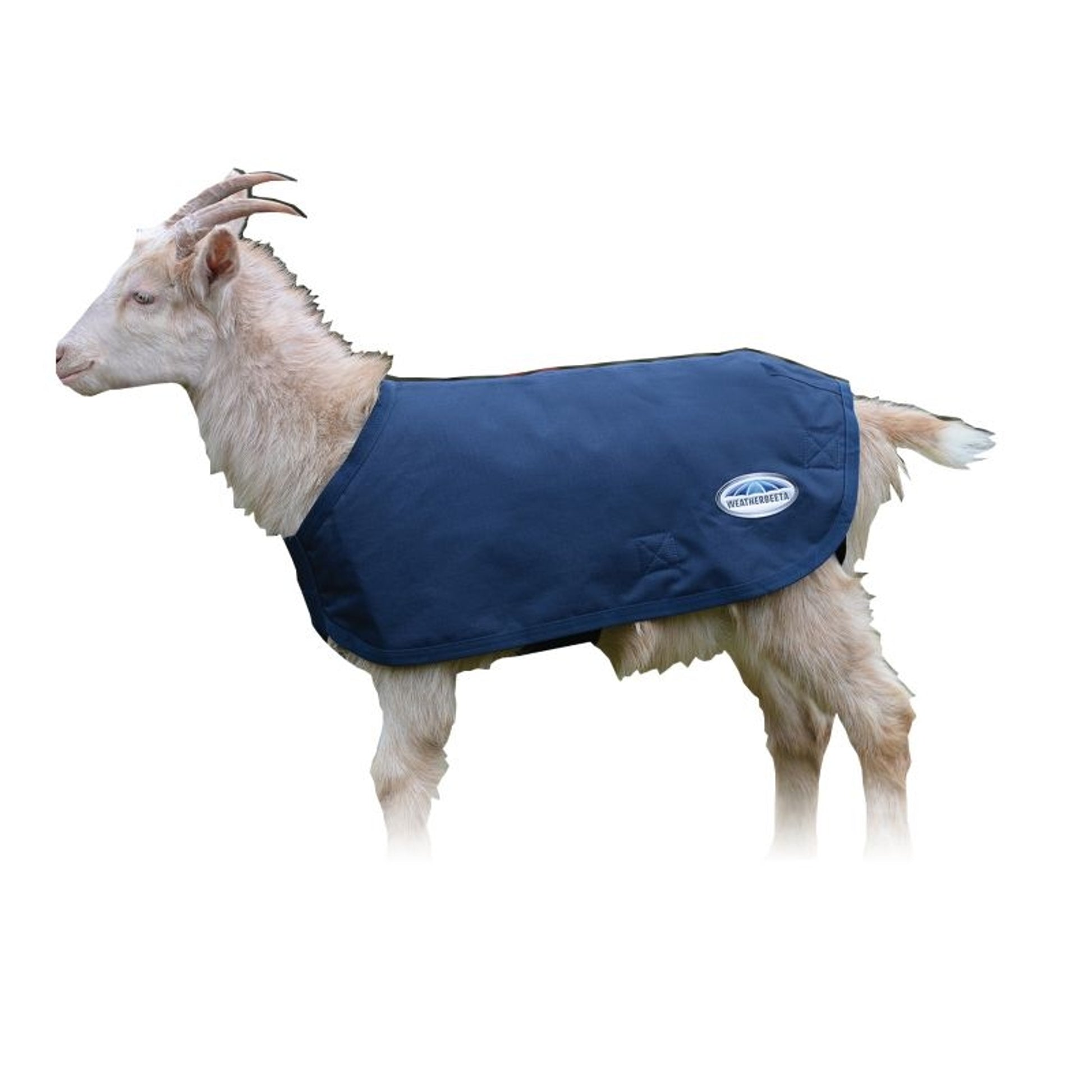 Weatherbeeta Deluxe Goat Coat