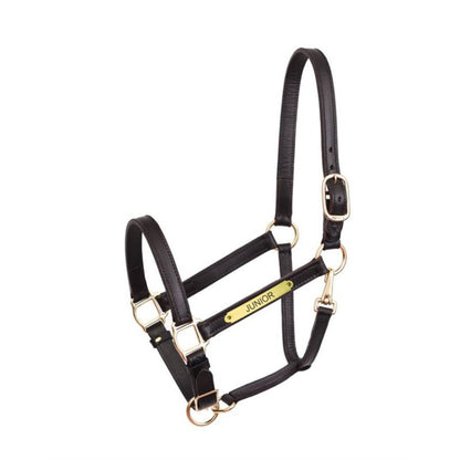 Perri's Personalized 1" Turnout Halter