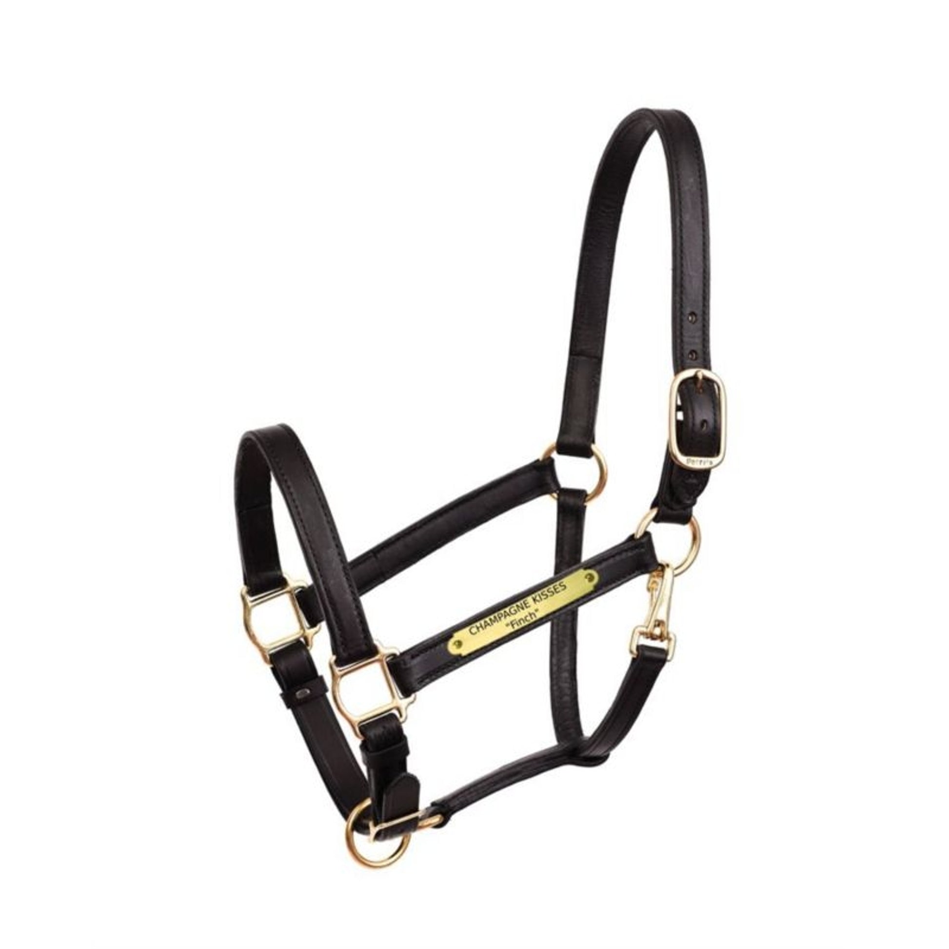 Perri's Personalized 1" Turnout Halter