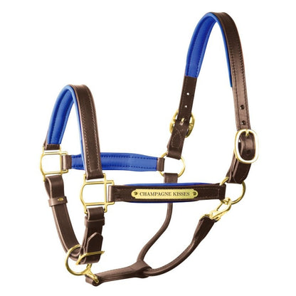 Perri's Soft Padded Leather Halter
