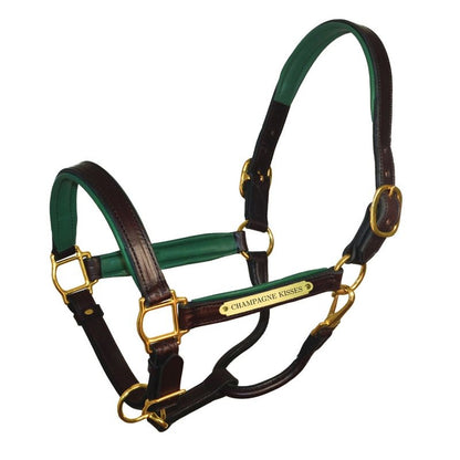 Perri's Soft Padded Leather Halter