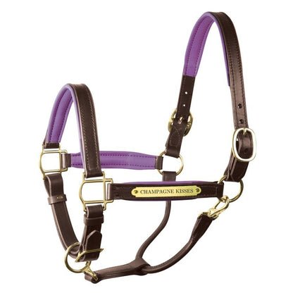 Perri's Soft Padded Leather Halter