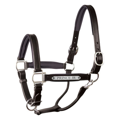 Perri's Soft Padded Leather Halter