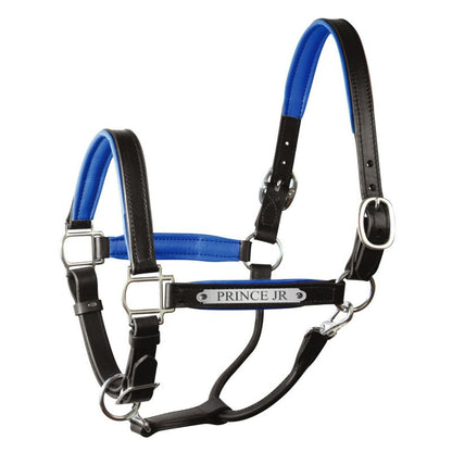 Perri's Soft Padded Leather Halter