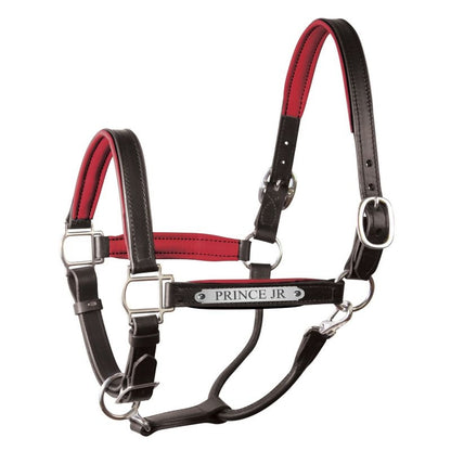 Perri's Soft Padded Leather Halter