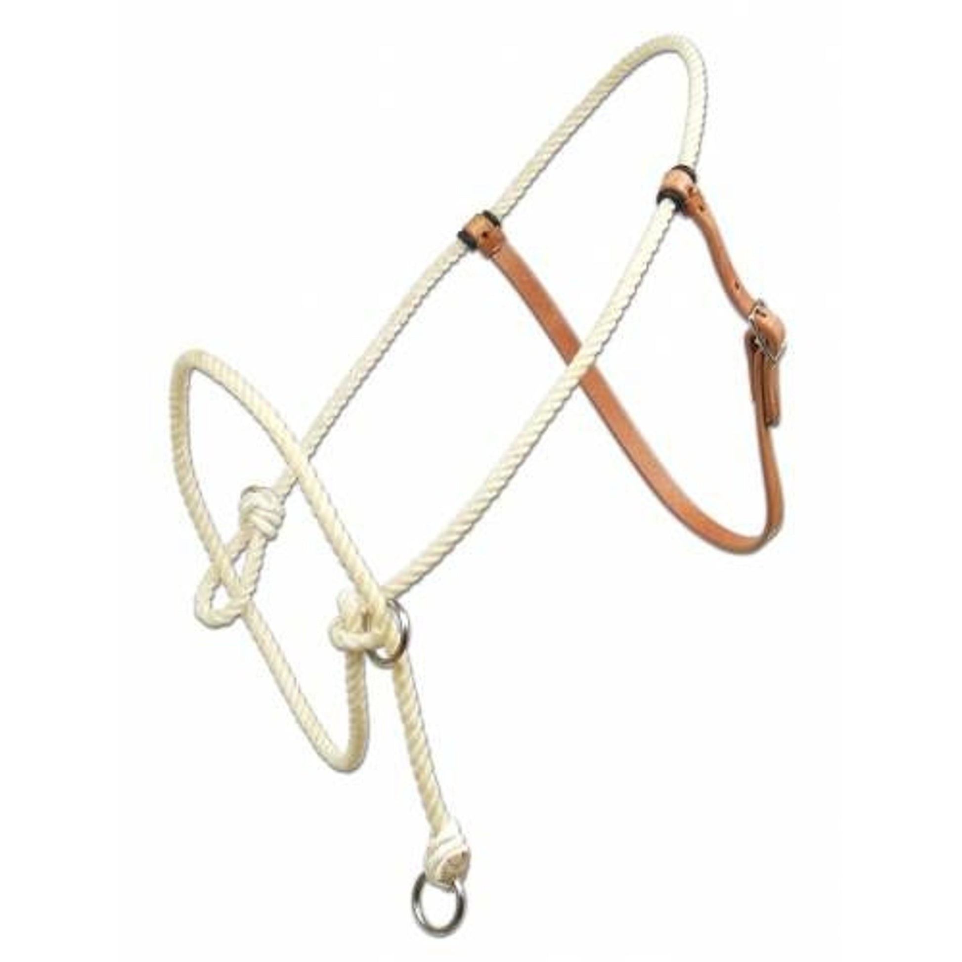 Professionals Choice Lariat Rope Training Halter