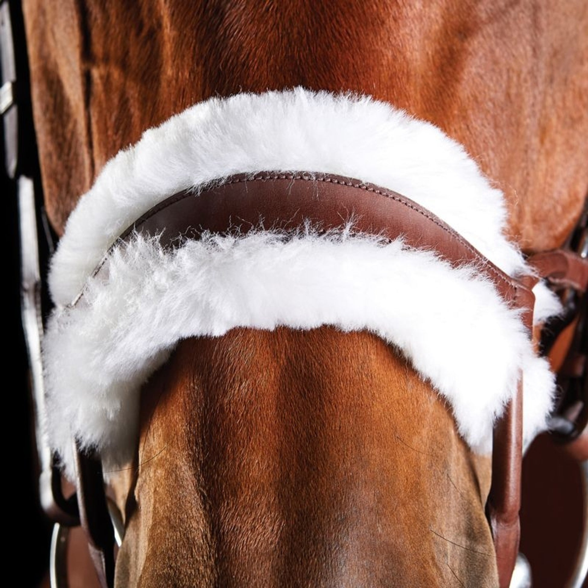 Collegiate ComFiTec Sheepskin Bridle