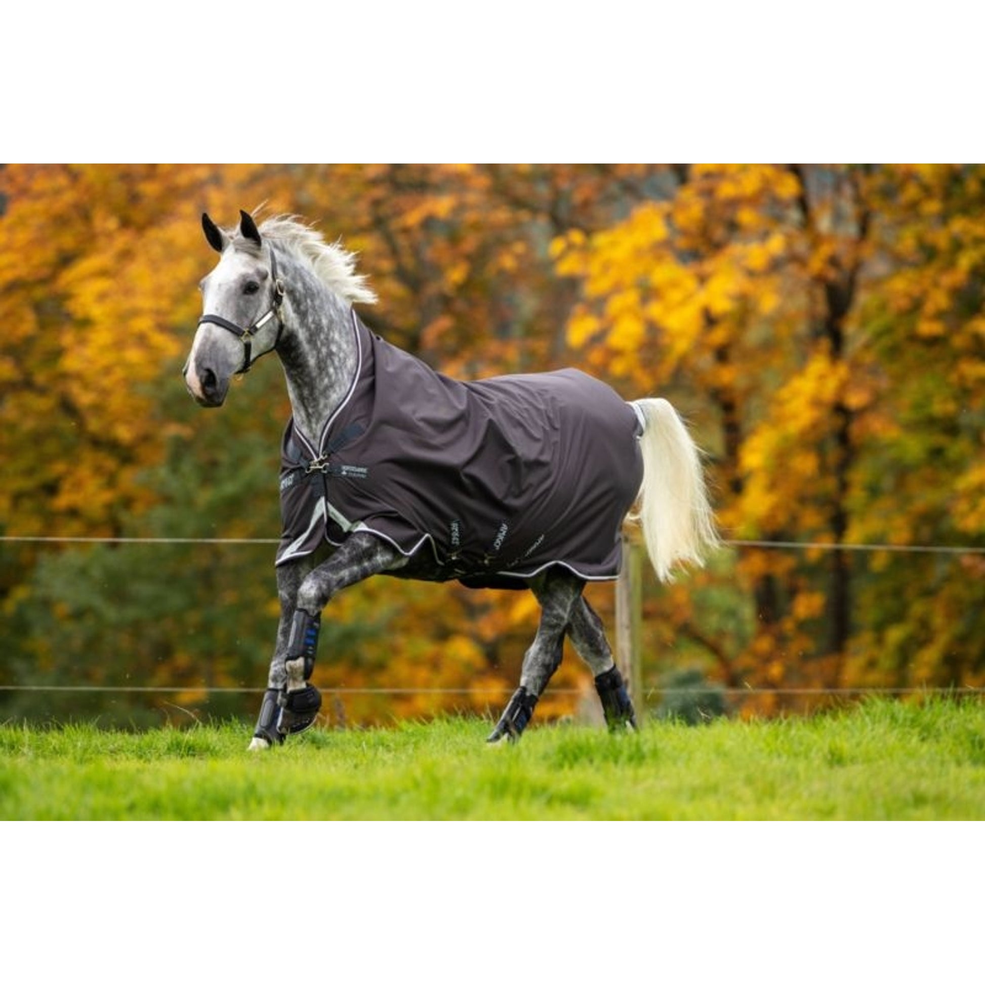Amigo Bravo 12 Wug Lite Turnout