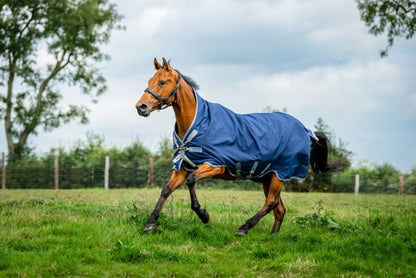 Amigo Bravo 12 Wug Medium Blanket