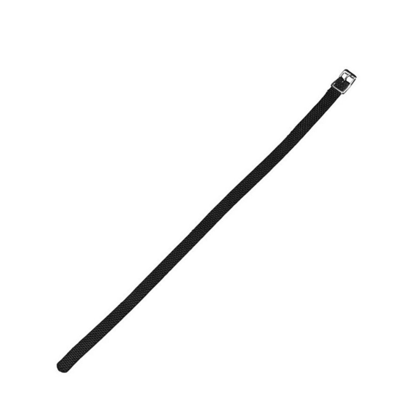 TE029975.jpg