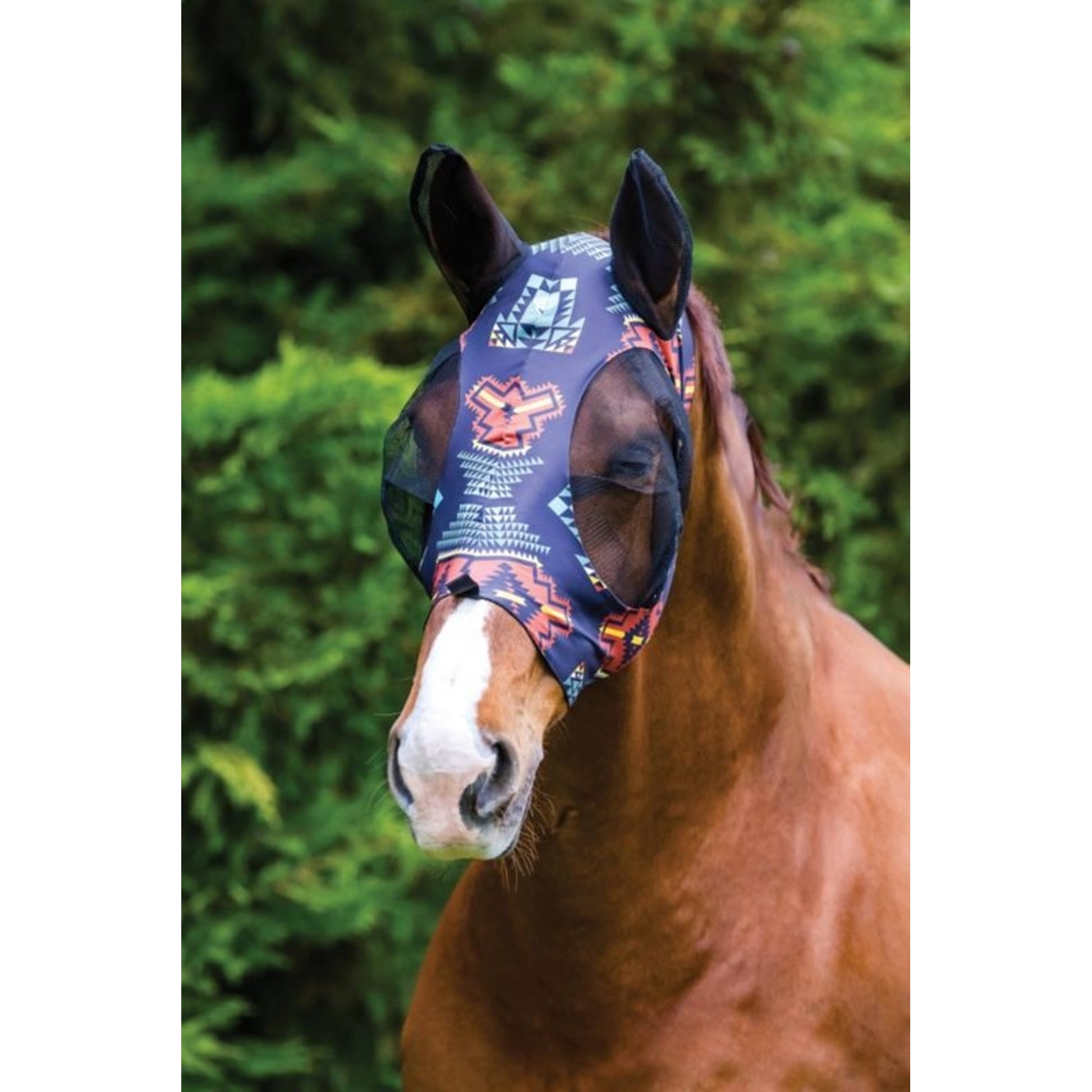 Weatherbeeta Stretch Eye Saver With Ears