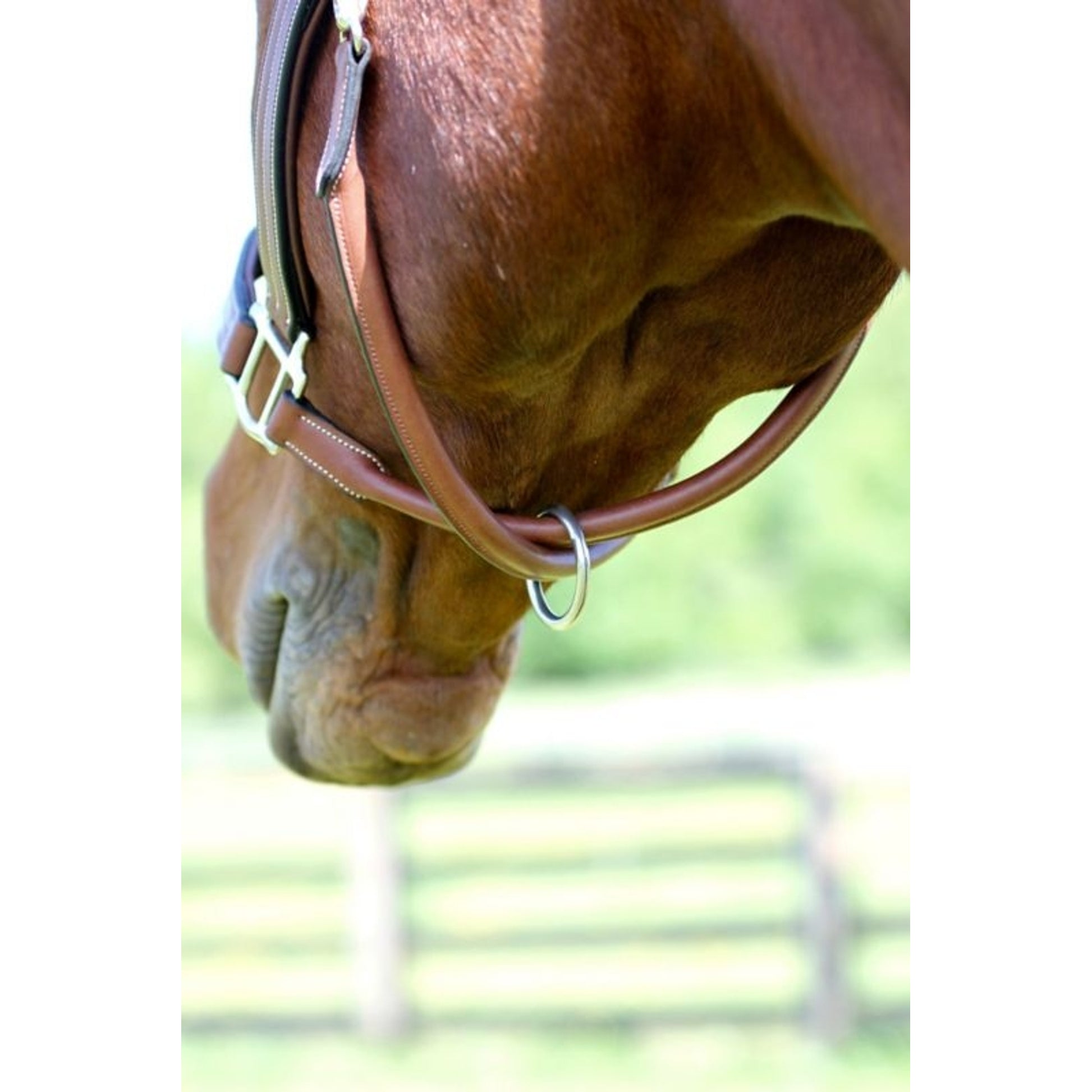 Arc de Triomphe Leather Halter