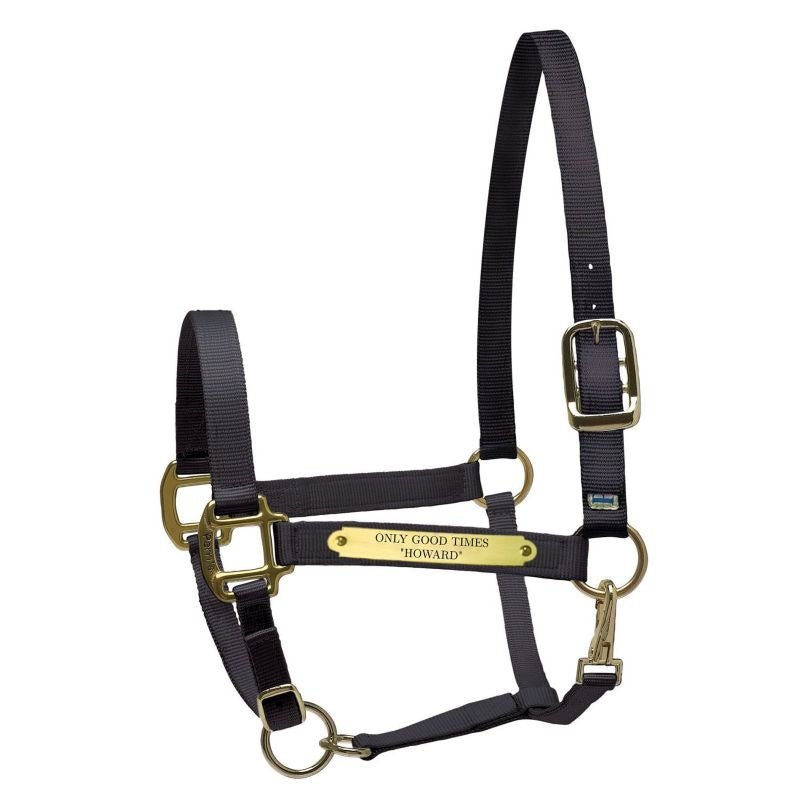 Perri's Personalized Nylon Super Halter