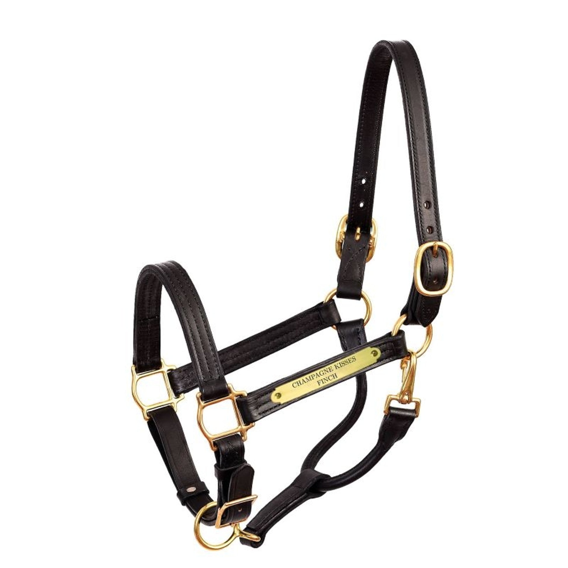 Perri's Personalized Premium 1" Show Halter