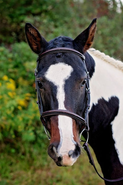 Tory Raised Padded Fancy Headstall