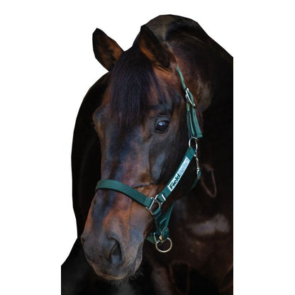 Rambo FIELDSAFE Safety Halter