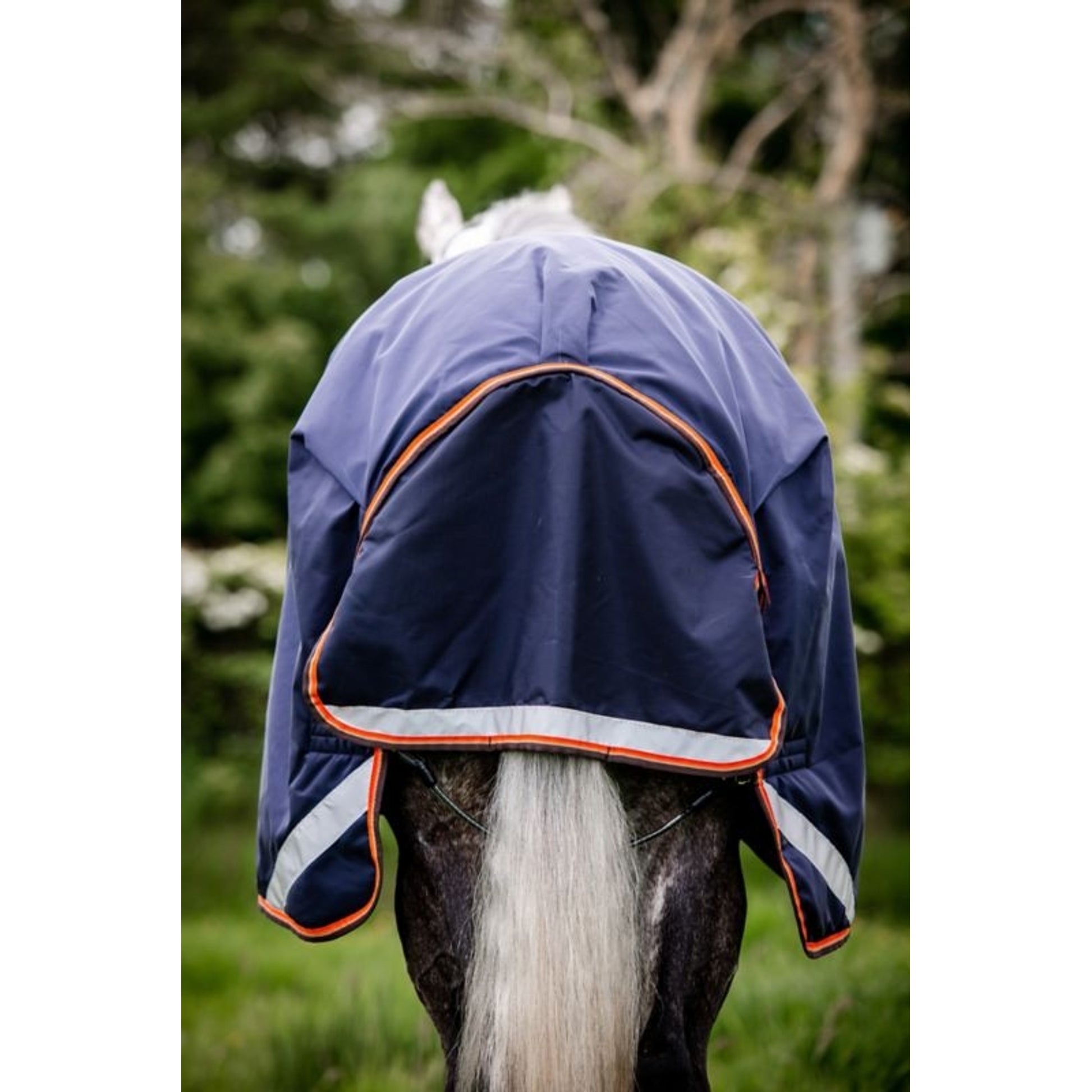 Rambo Original Arch Blanket 100g
