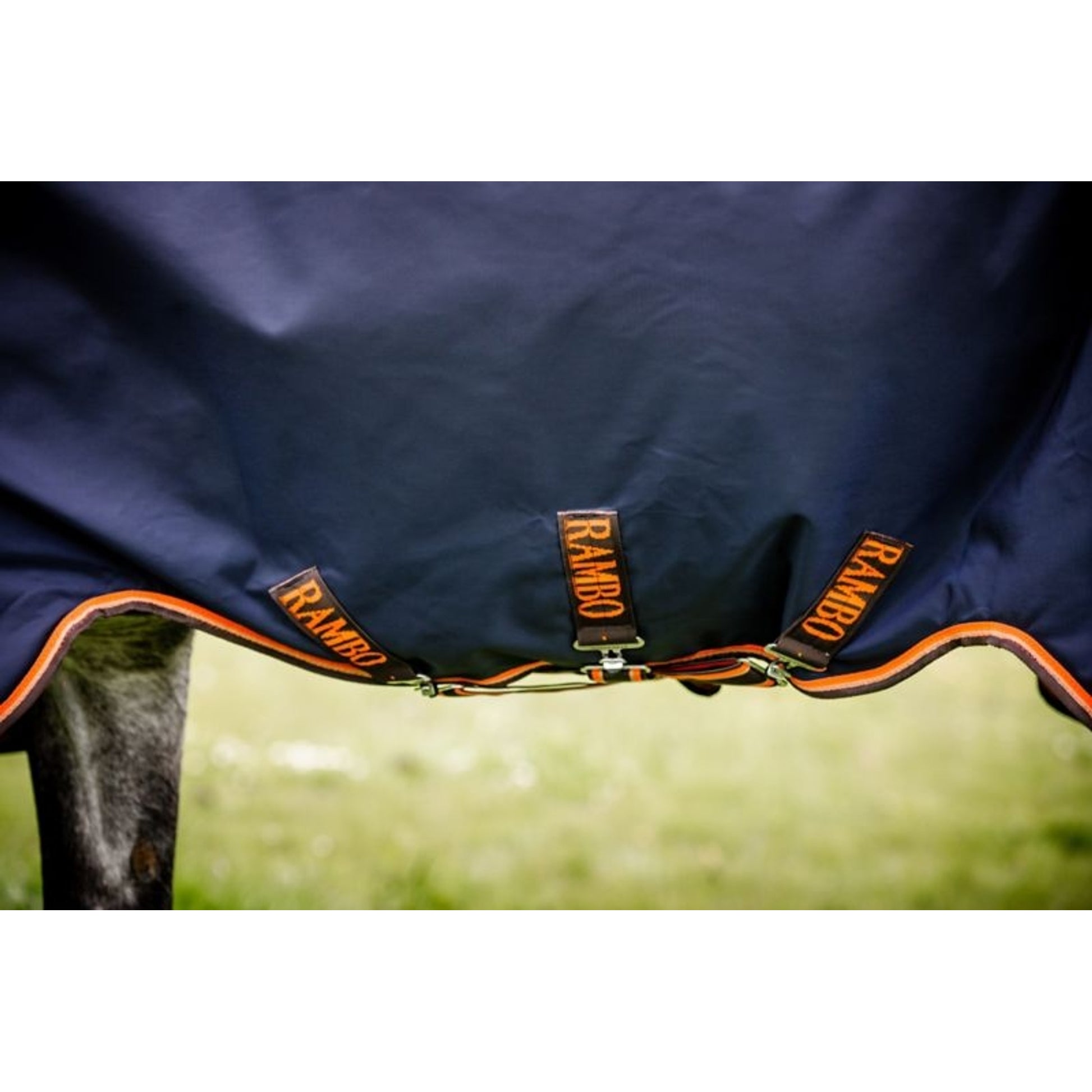 Rambo Original Arch Blanket 100g