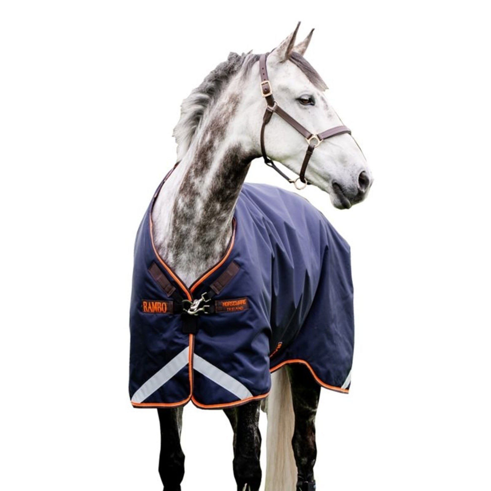 Rambo Original Arch Blanket 100g