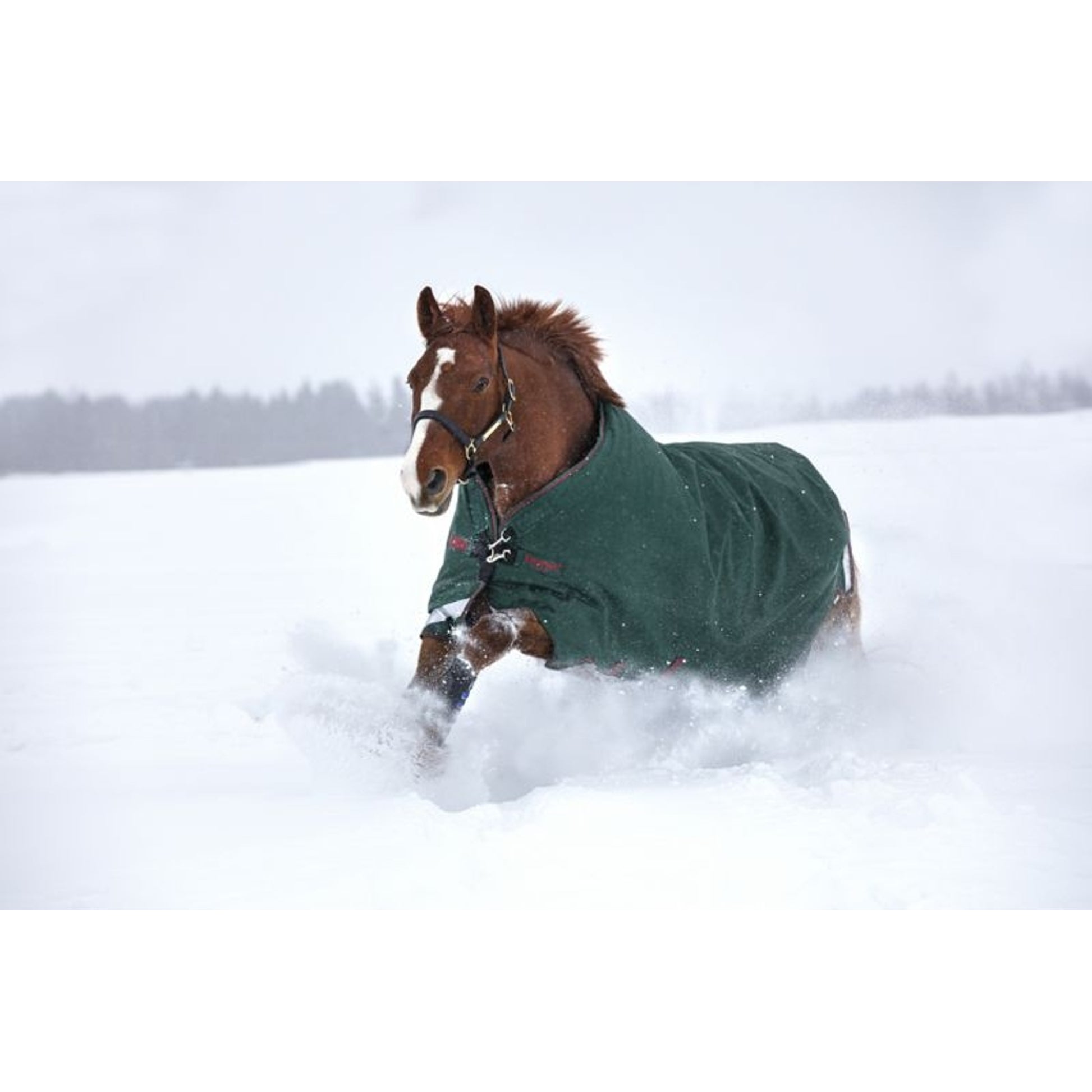 Rambo Original Arch Blanket 100g