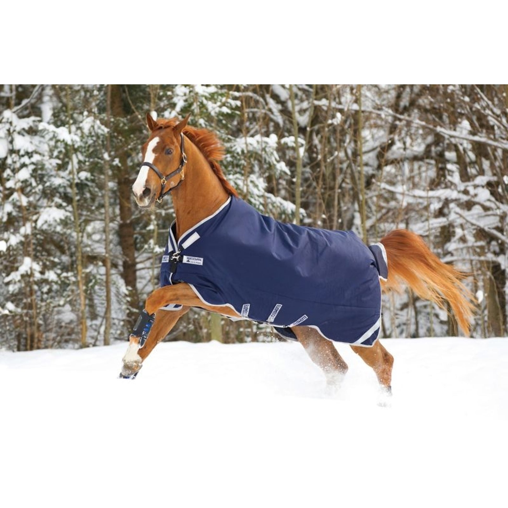 Rambo Original Arch Blanket 200g