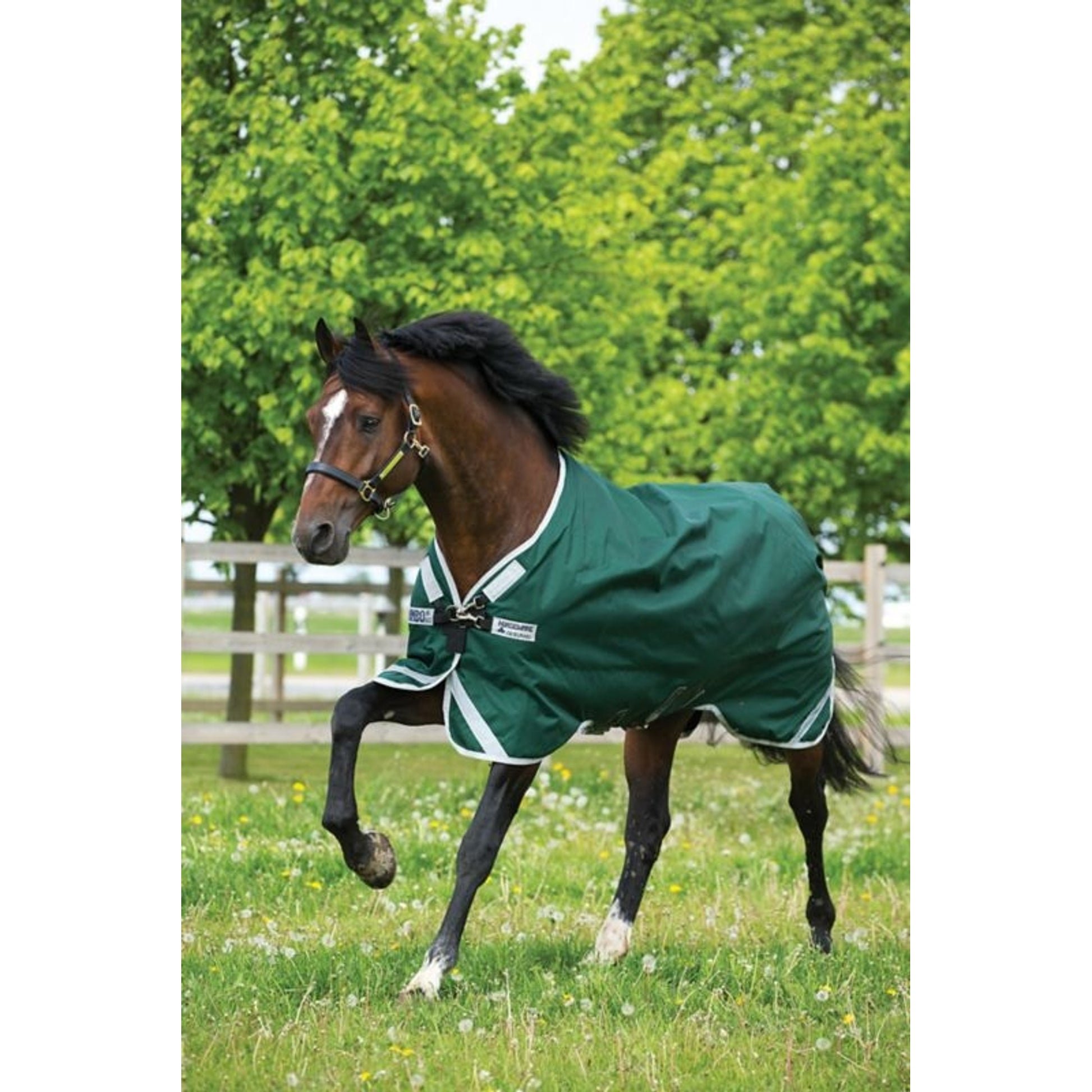 Rambo Original Arch Blanket 400g