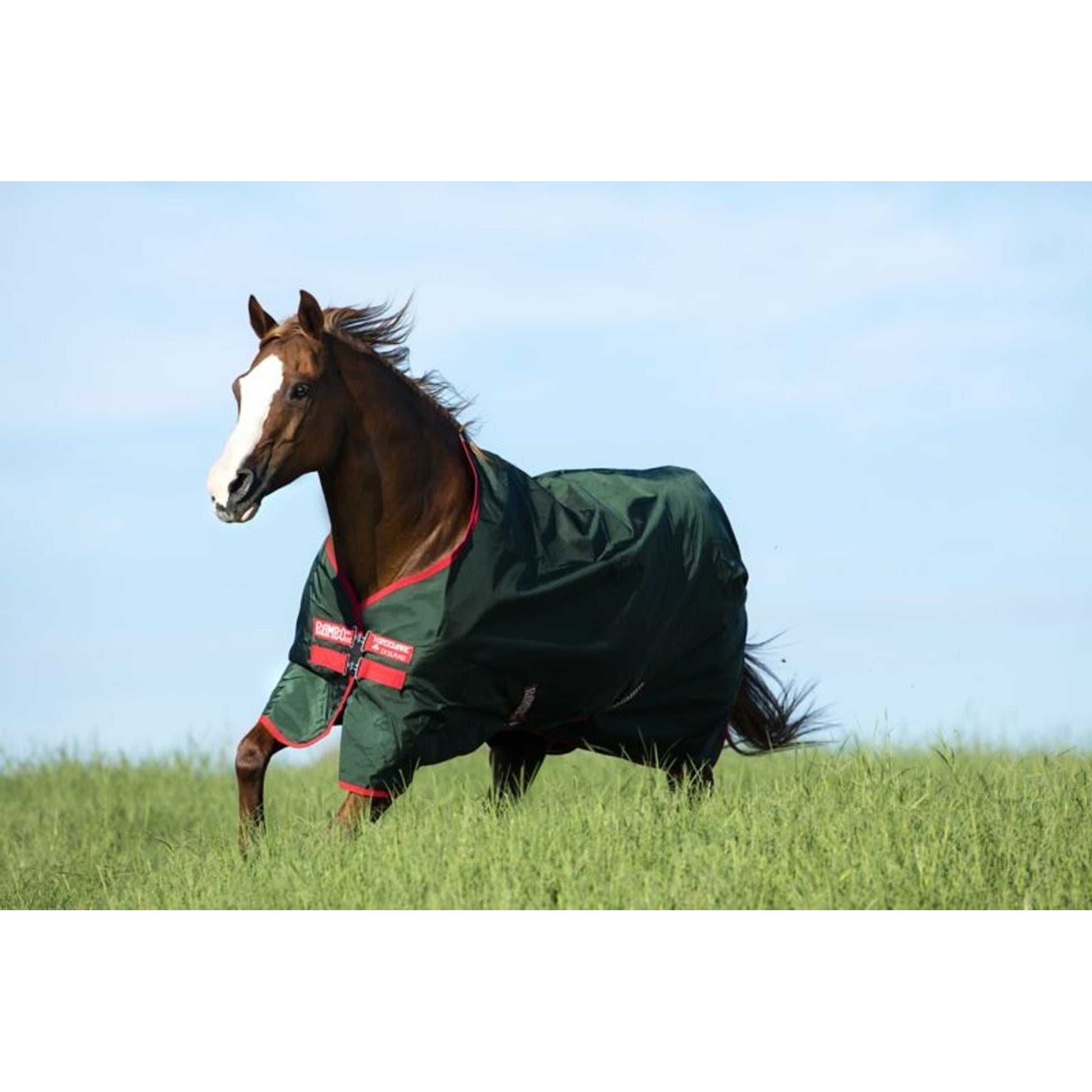 Rambo Original Turnout Lite 0g