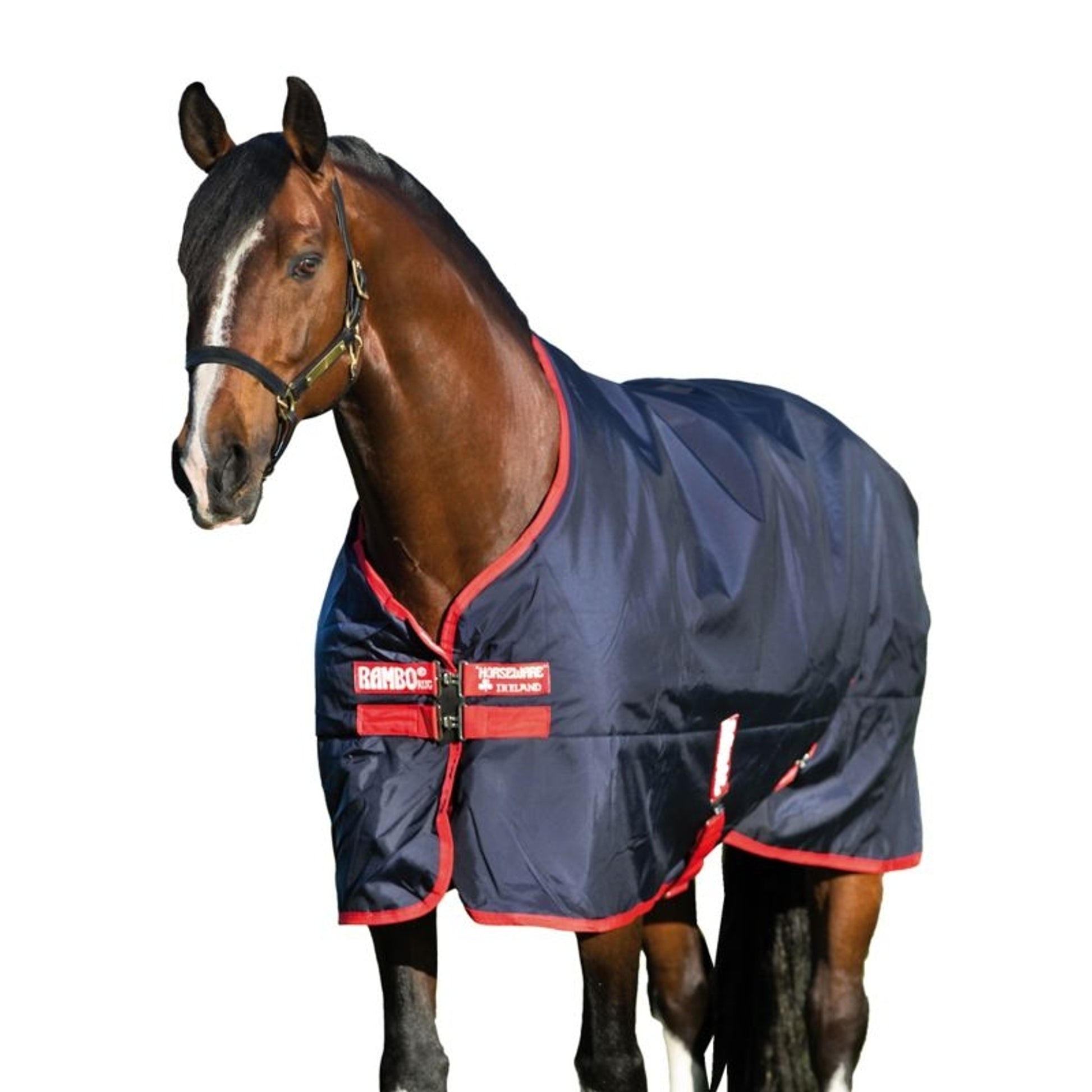 Rambo Original Turnout Medium 200g