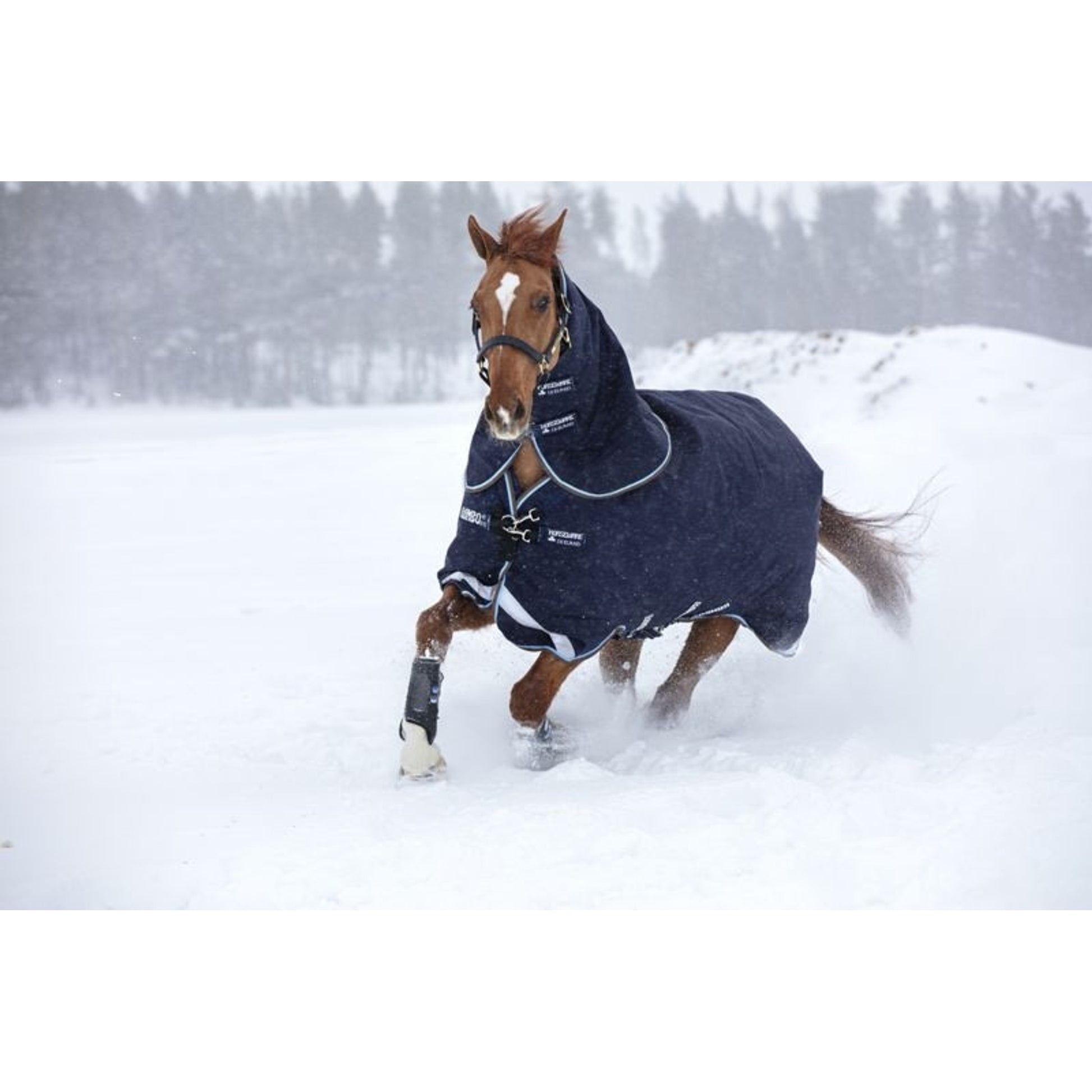 Rambo Duo Turnout Blanket