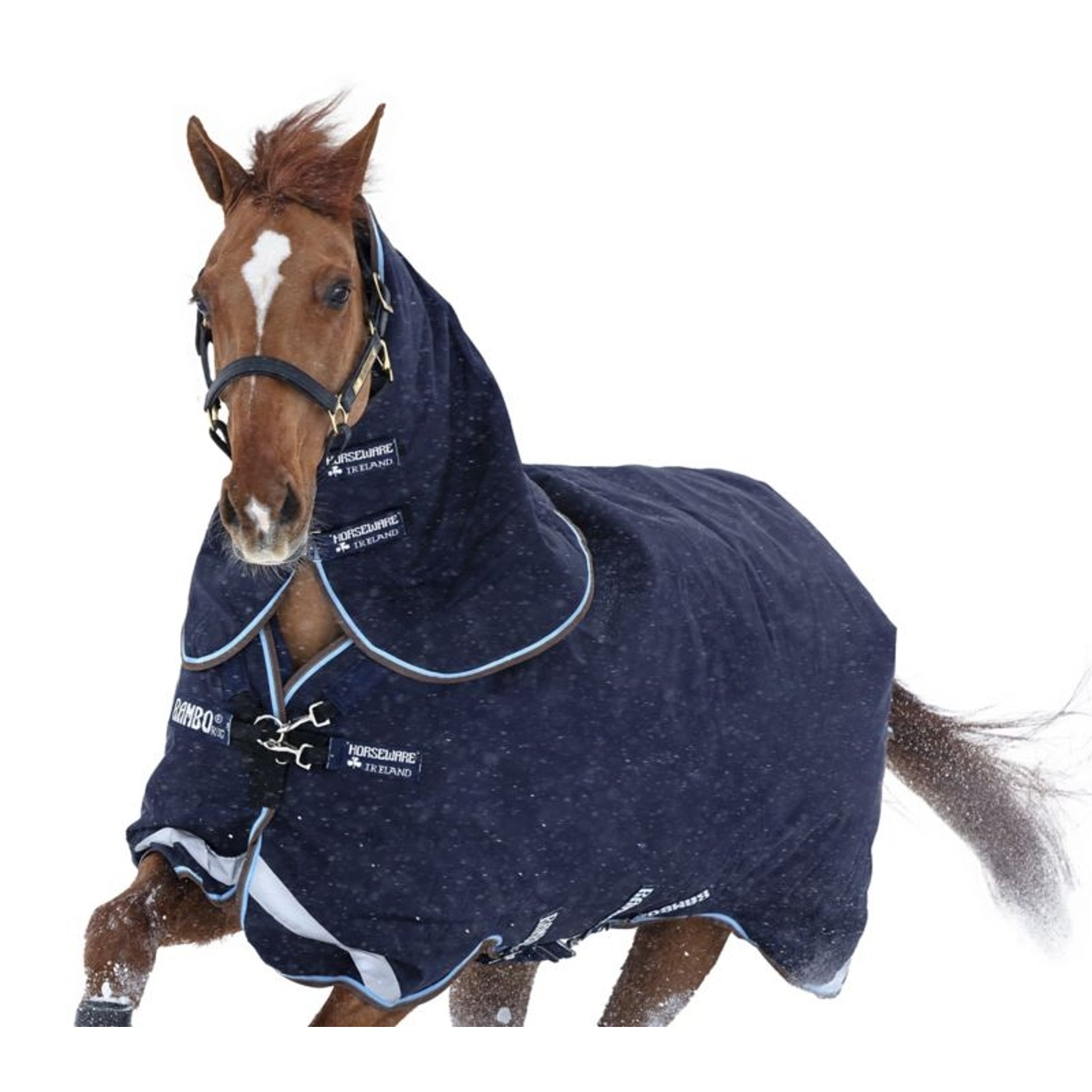 Rambo Duo Turnout Blanket