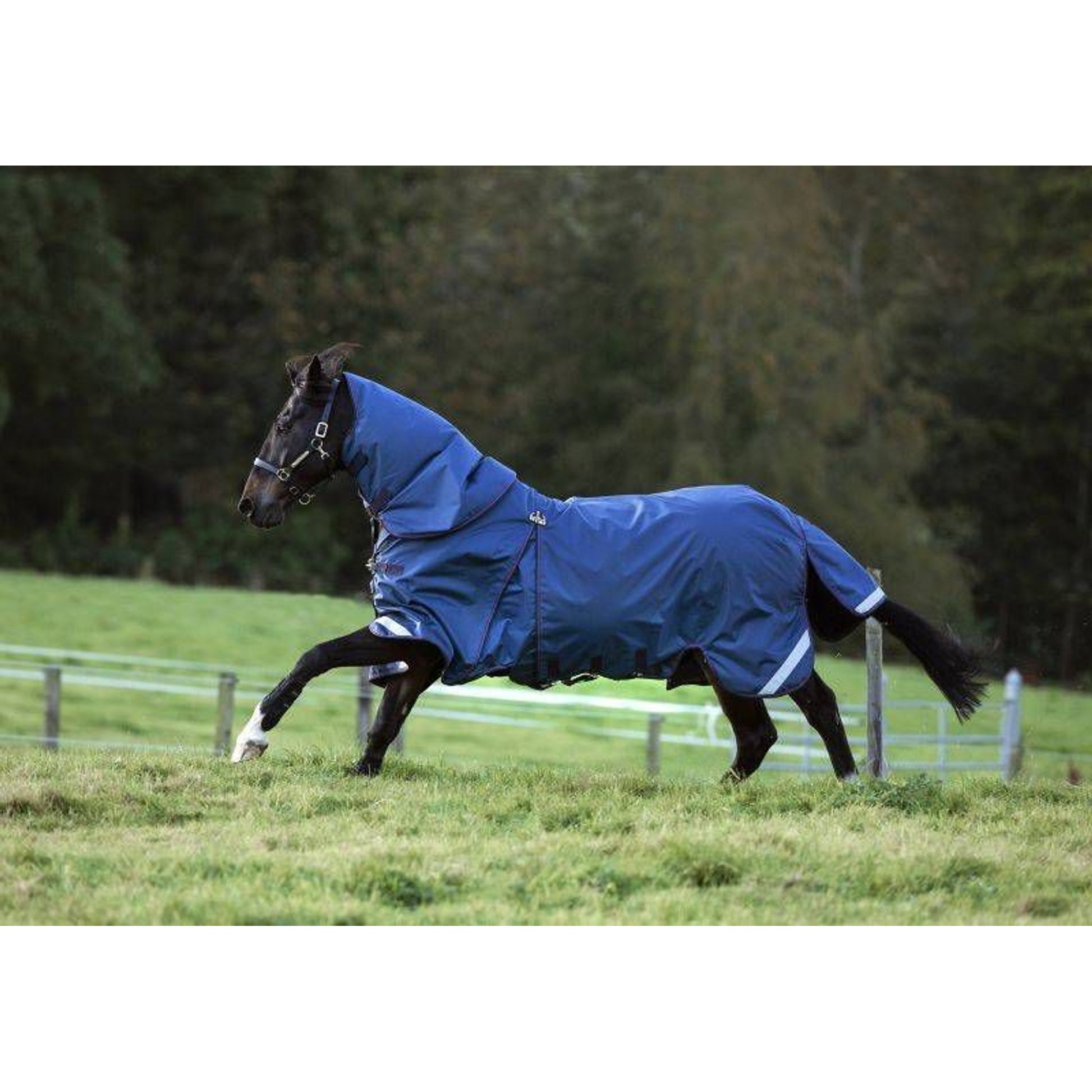 Rambo Optimo Turnout Sheet