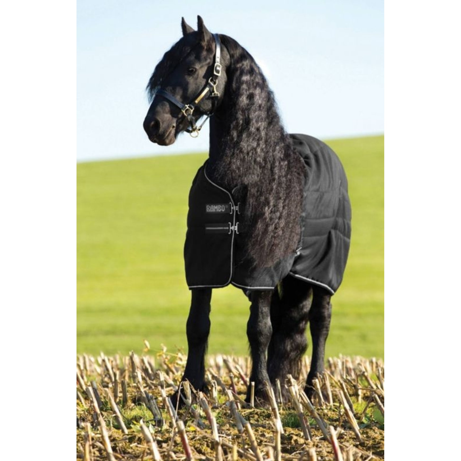 Rambo Stable Blanket 200g