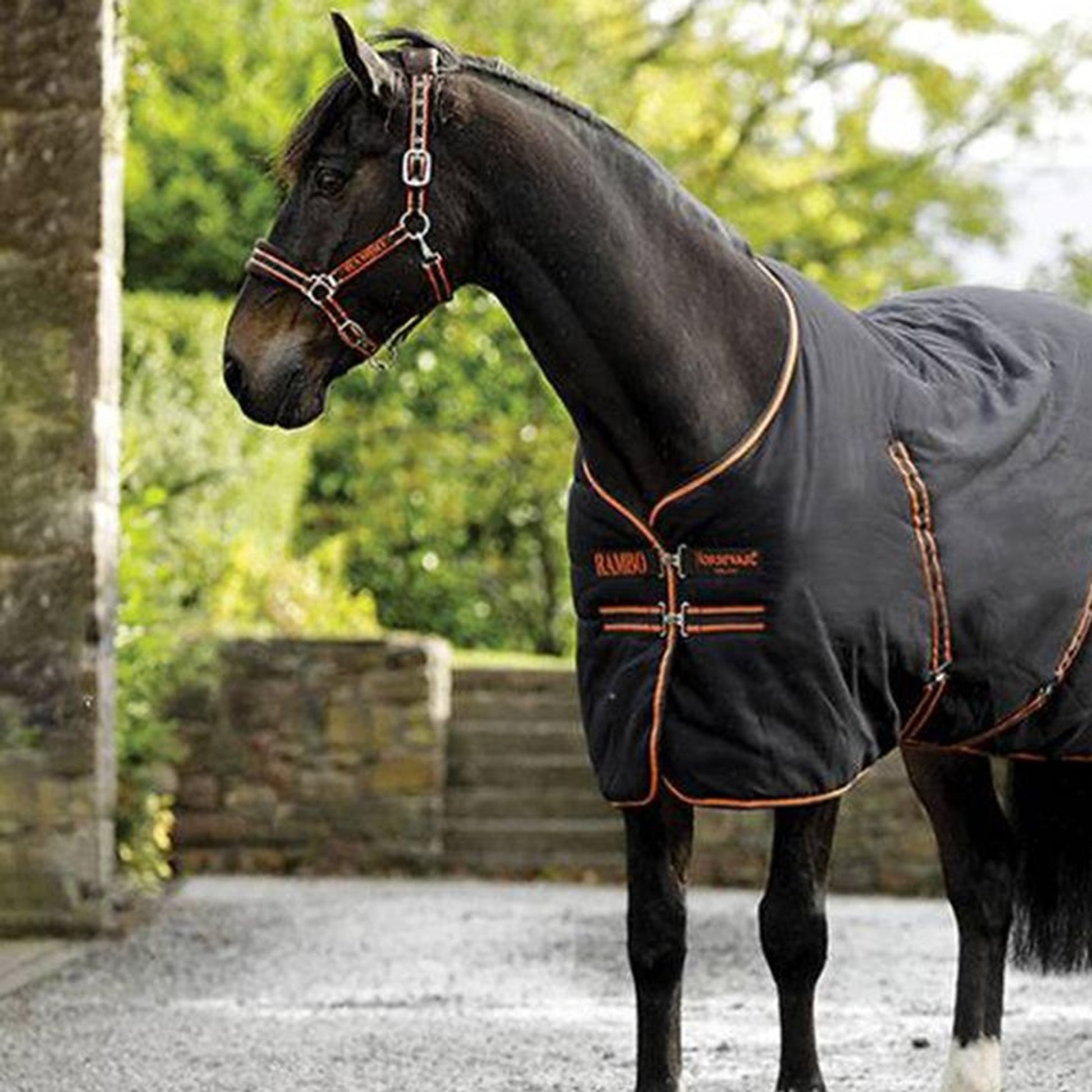 Rambo Stable Sheet with Microfiber Lining (0g Light)