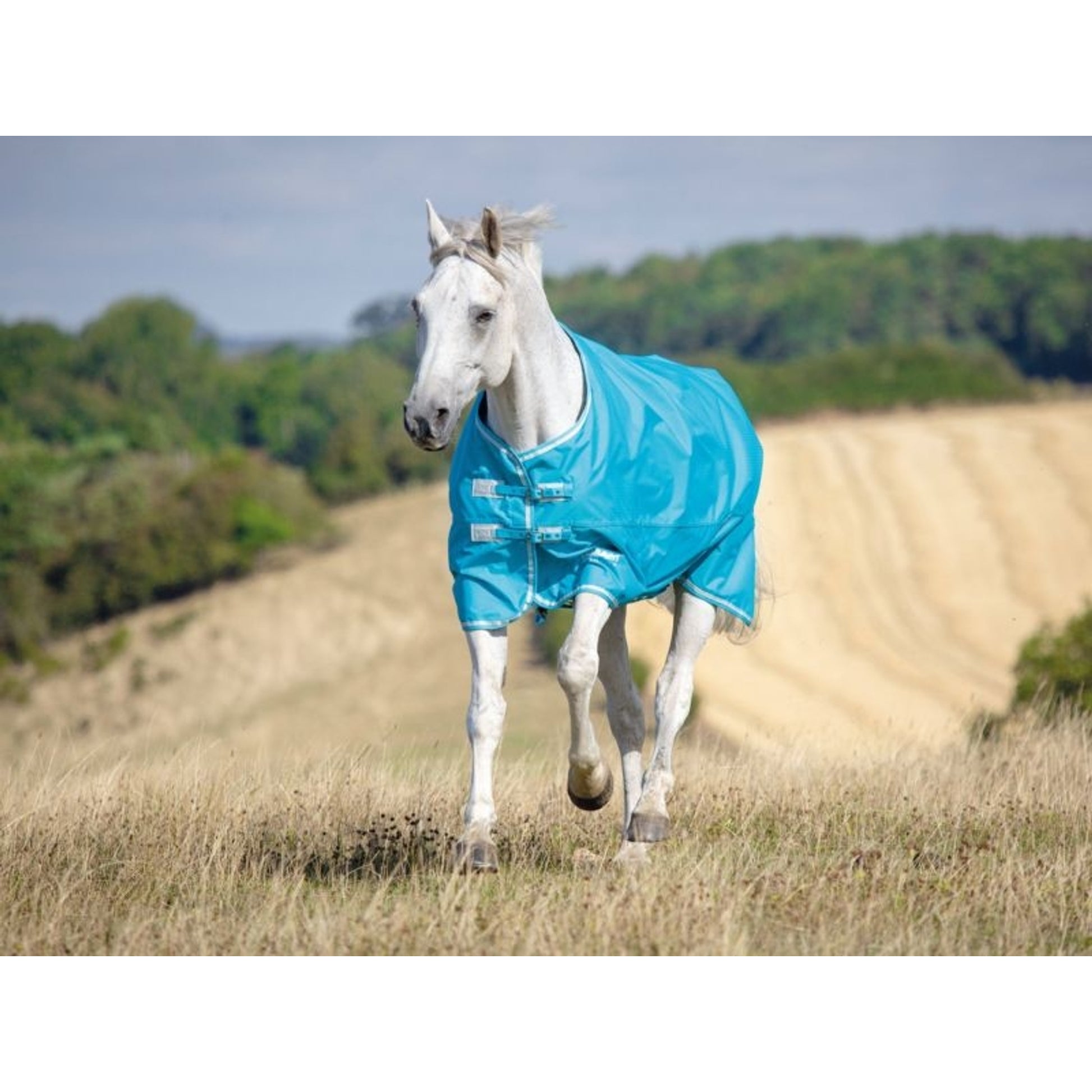 Shires Tempest Org Lite Hood