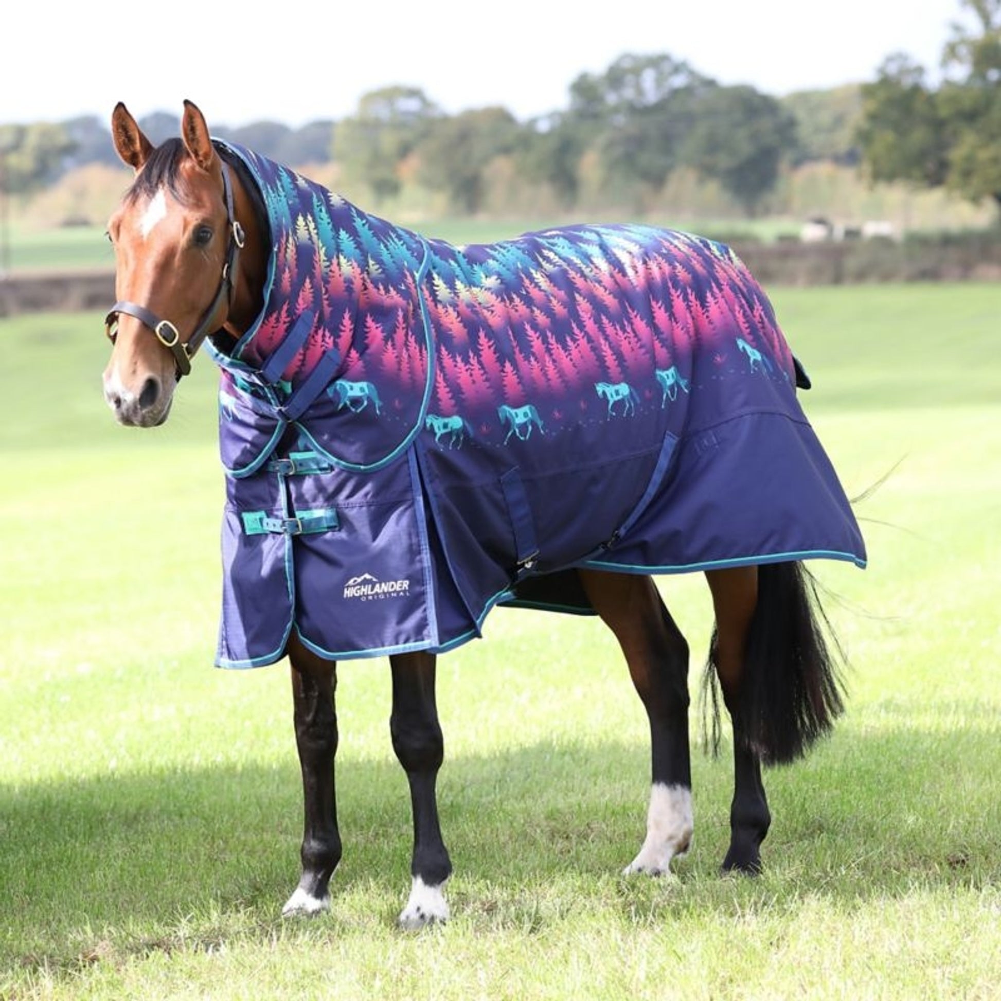 Shires Tempest Org Lite Hood
