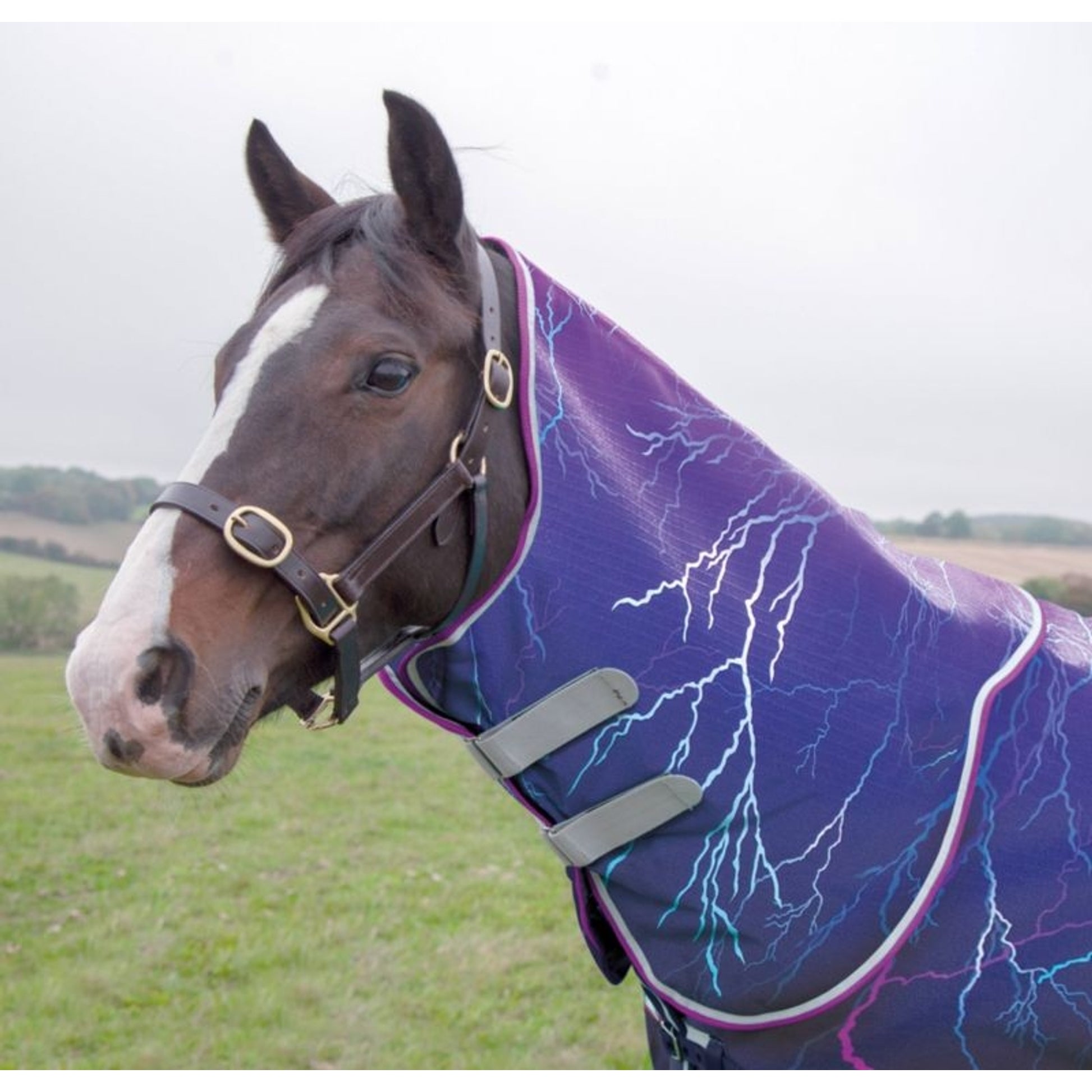Shires Tempest Org Lite Hood