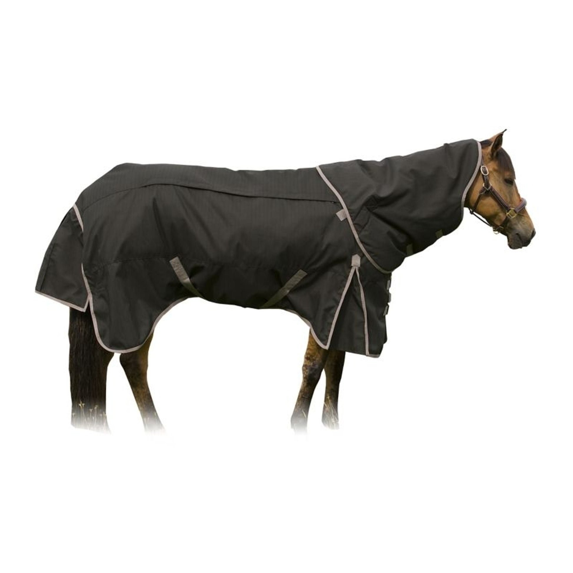 TuffRider All Seasons Blanket