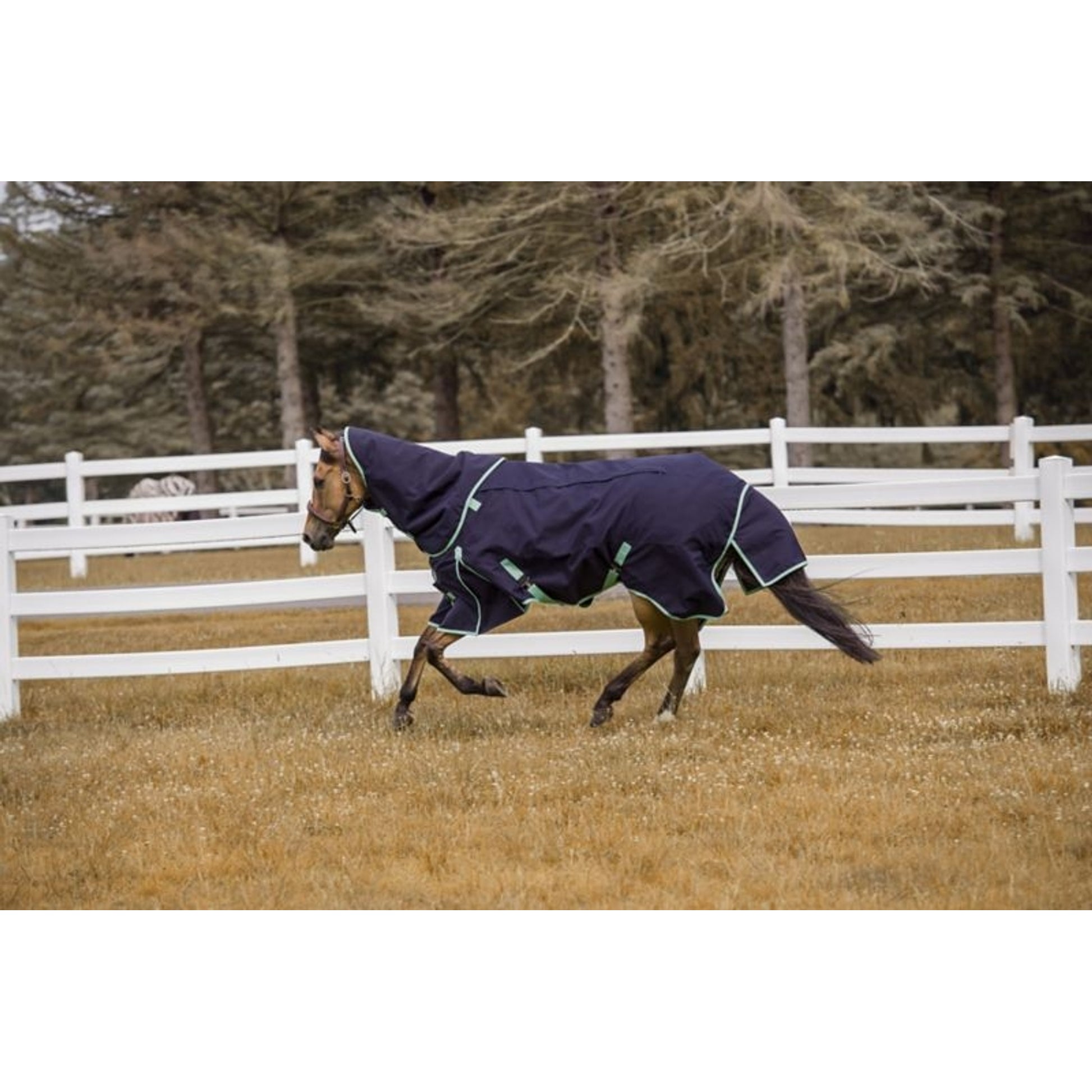 TuffRider All Seasons Blanket