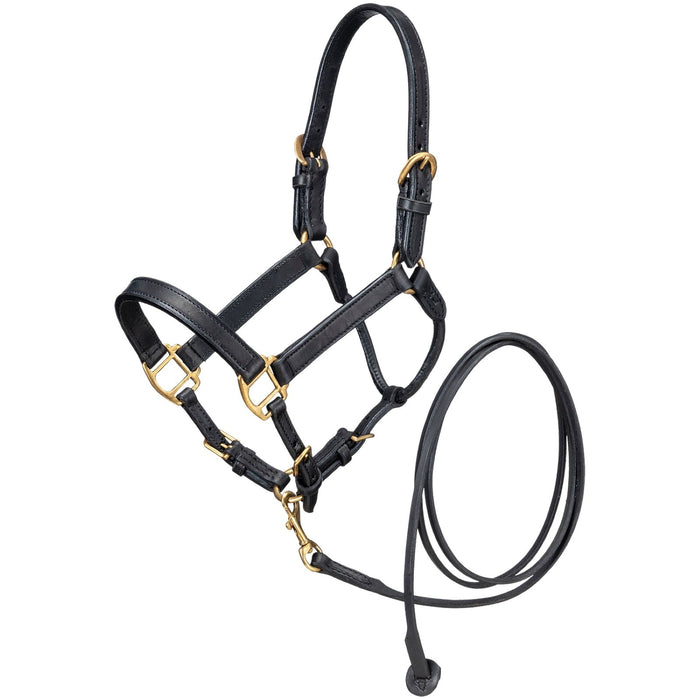 Miniature Horse Tack & Supplies - MiniTack.com