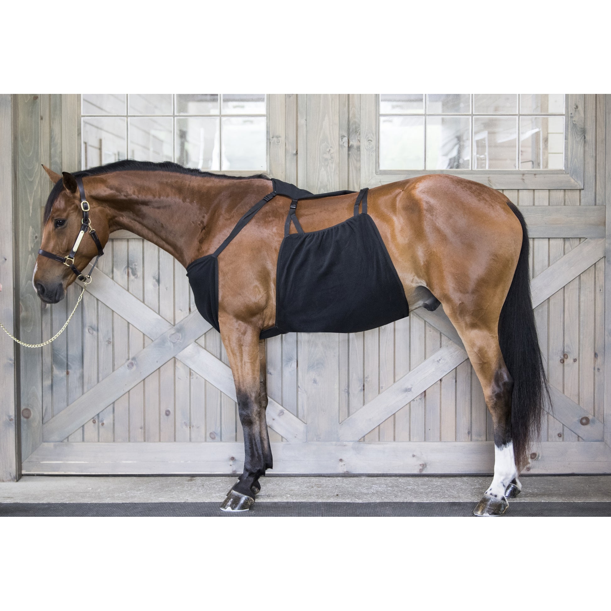 WikSmart Premium Cooler
