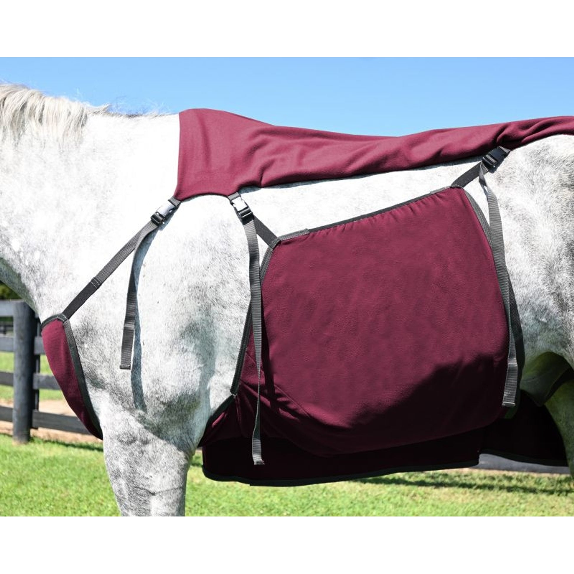 WikSmart Premium Cooler